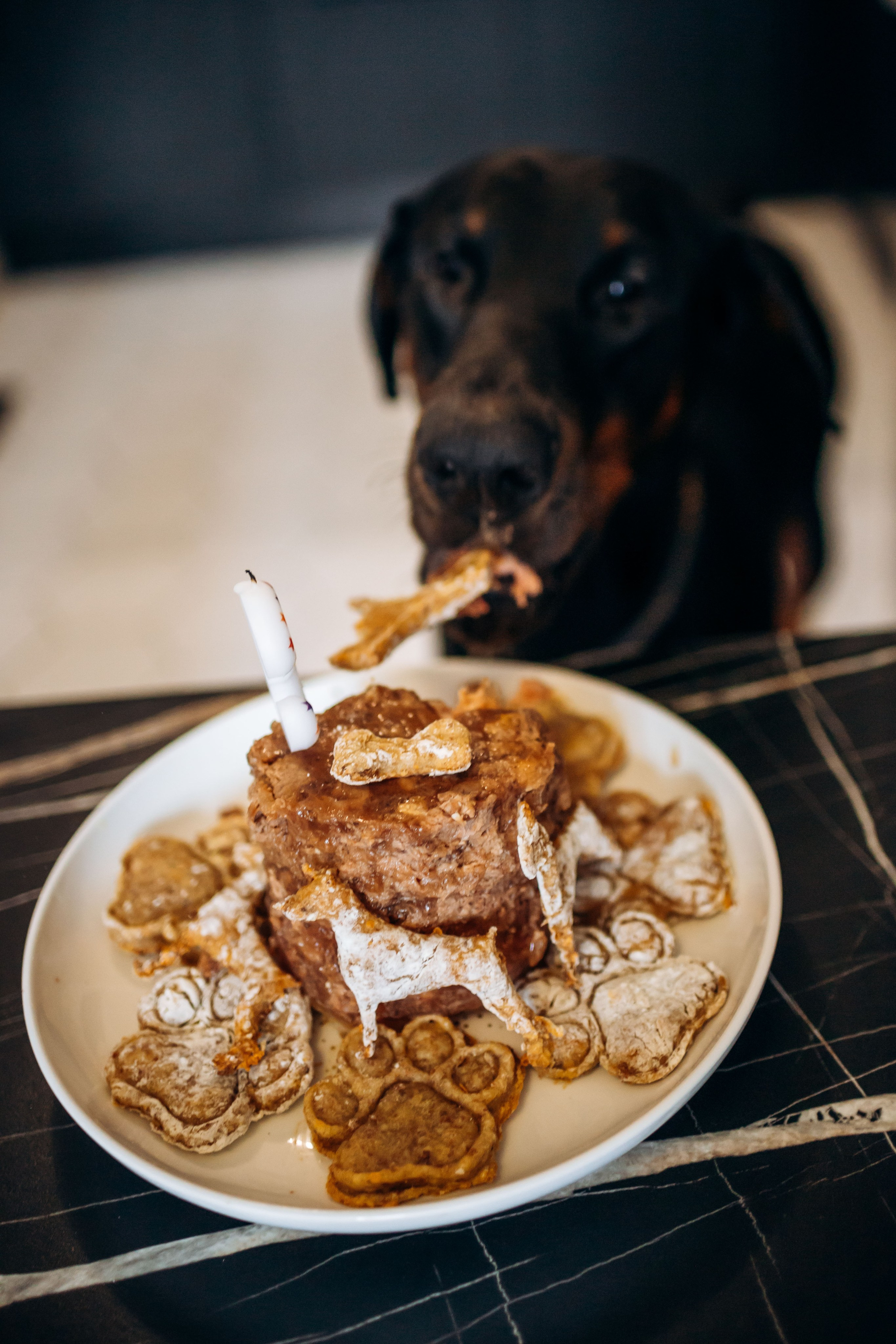 Катя и Конор