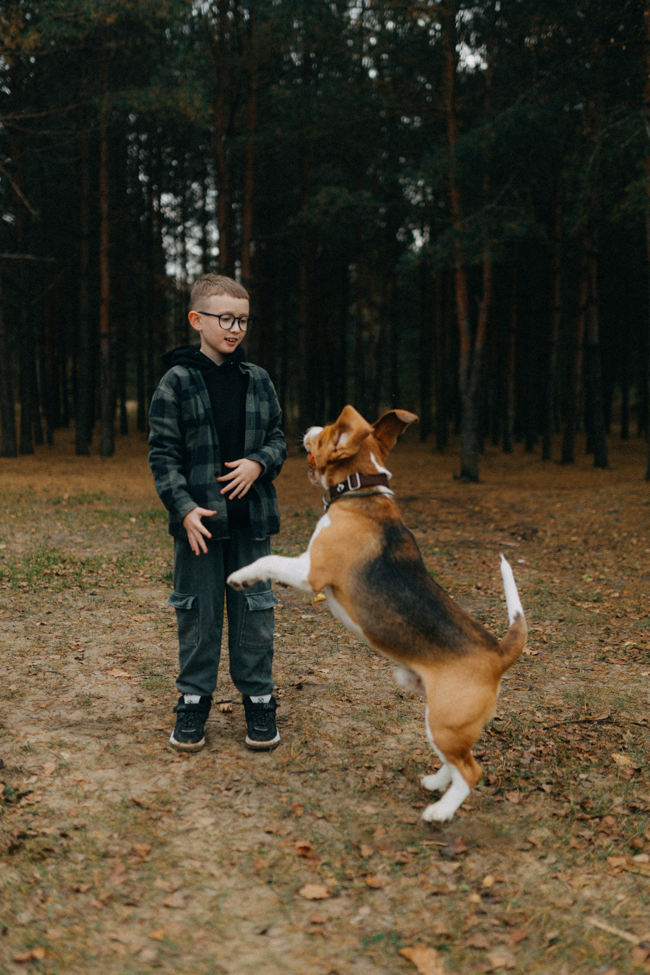 Ксюша & Федя. Прогулка с Лайдом. Фотограф НОГИНСК, Москва, Анастасия Белая