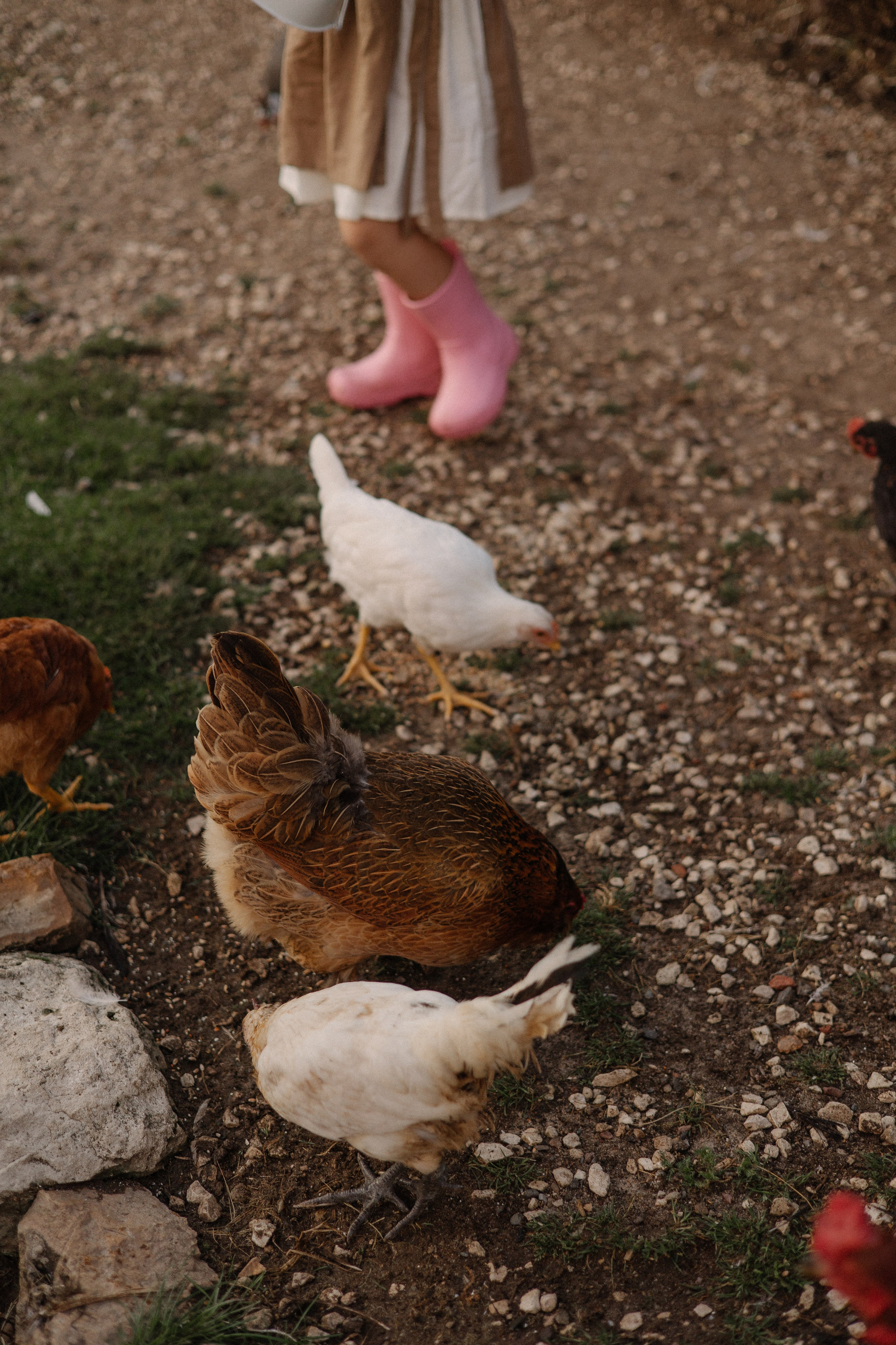Мама и дочка. Семейный фотограф Александра Тарасова
