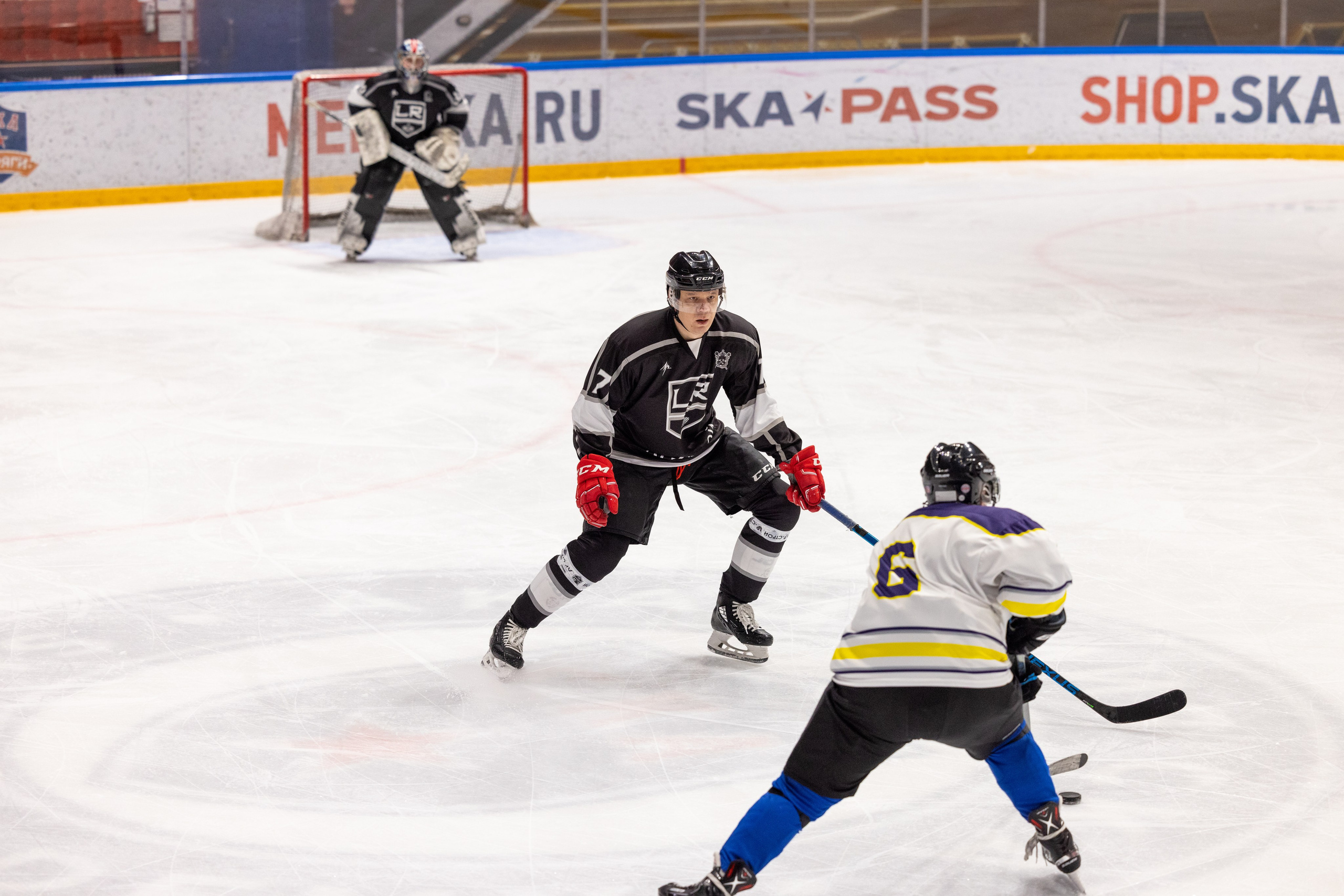 Бульдозер vs. LR-строй. Фотограф Александр Заломаев