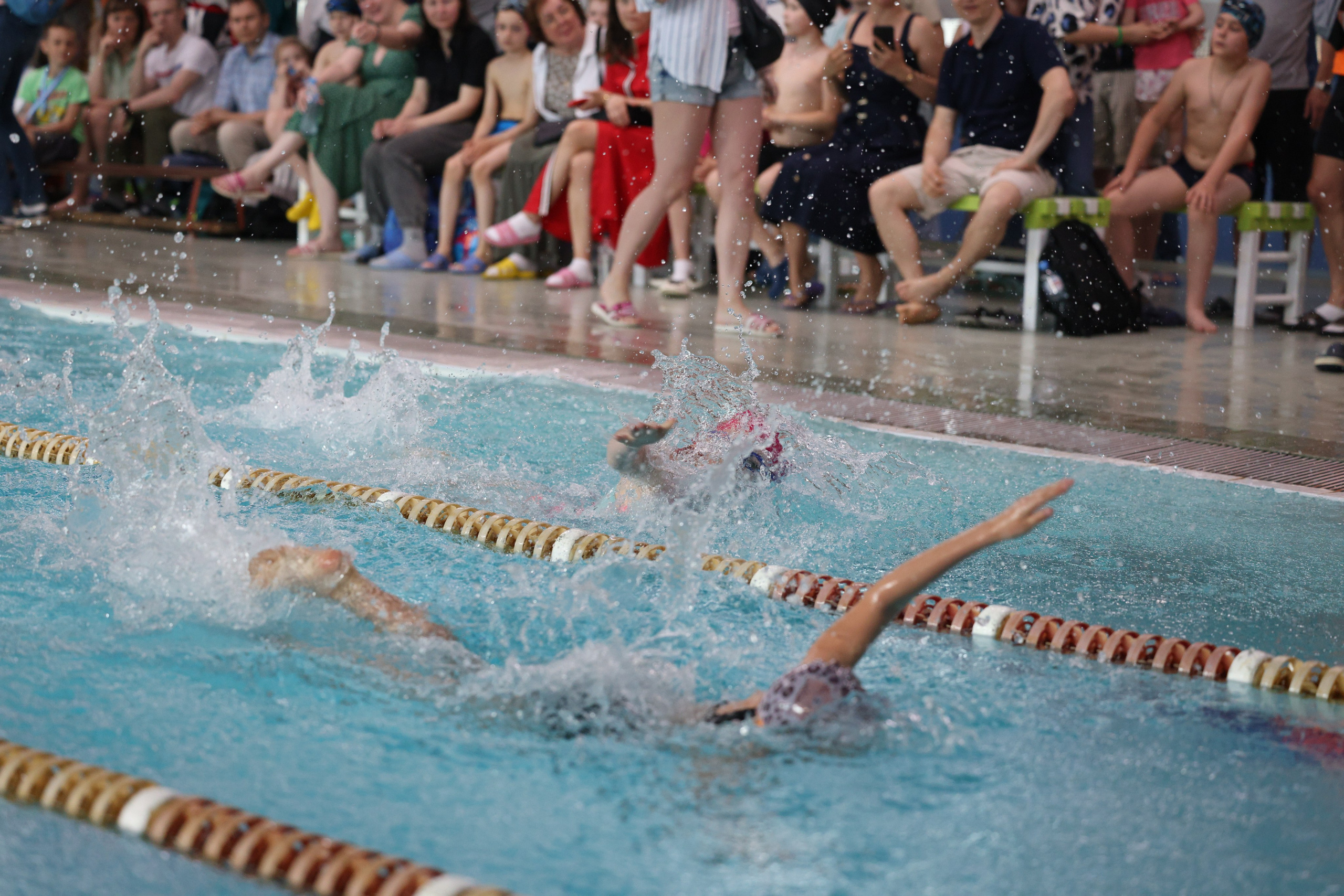 Веселый дельфин. Плавание. Дети 8-9 лет. Фотограф Александр Заломаев