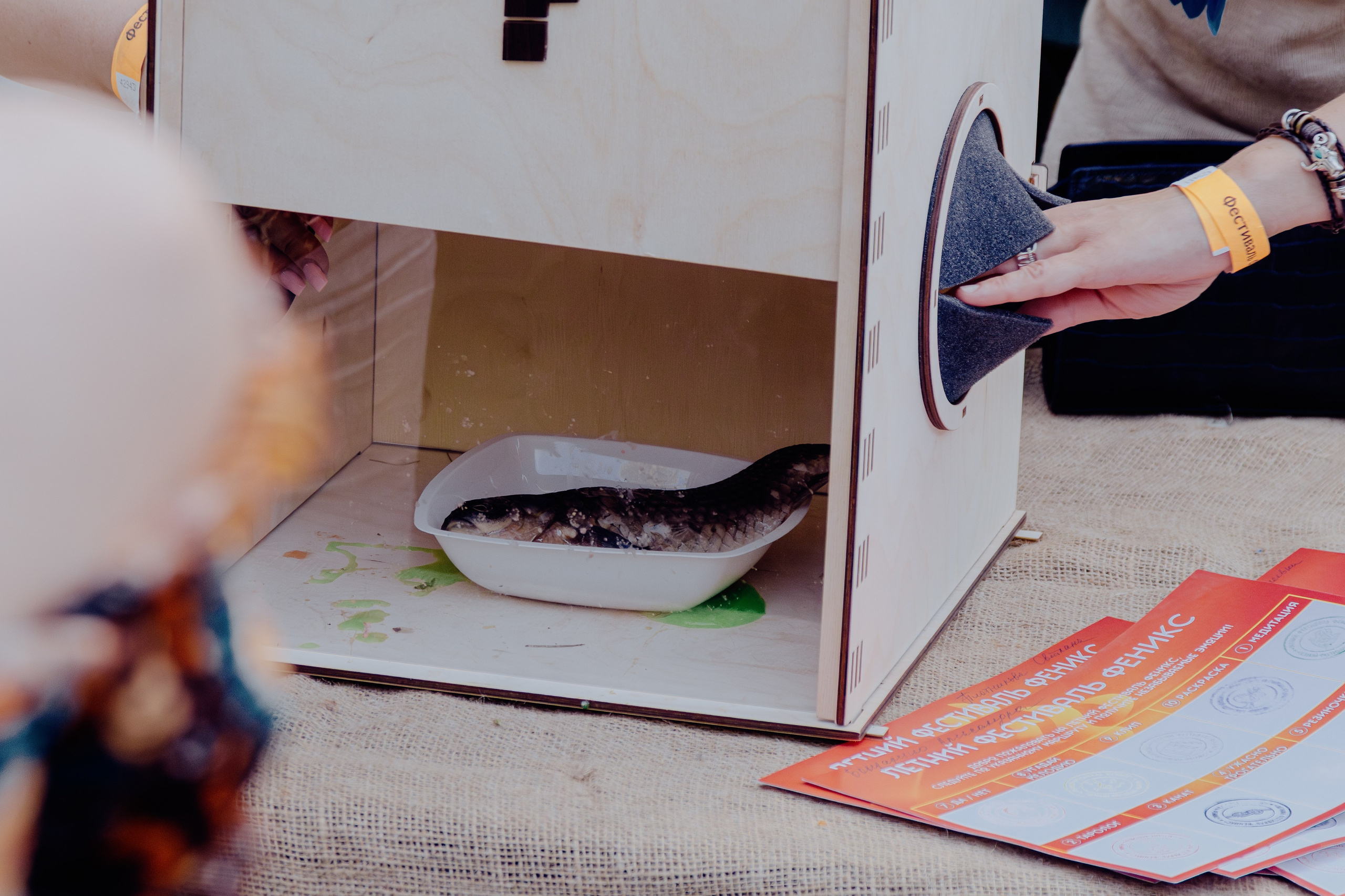 Репортажная съёмка корпоратива компании Феникс. Портретный фотограф в Ростове-на-Дону Антон Казарин