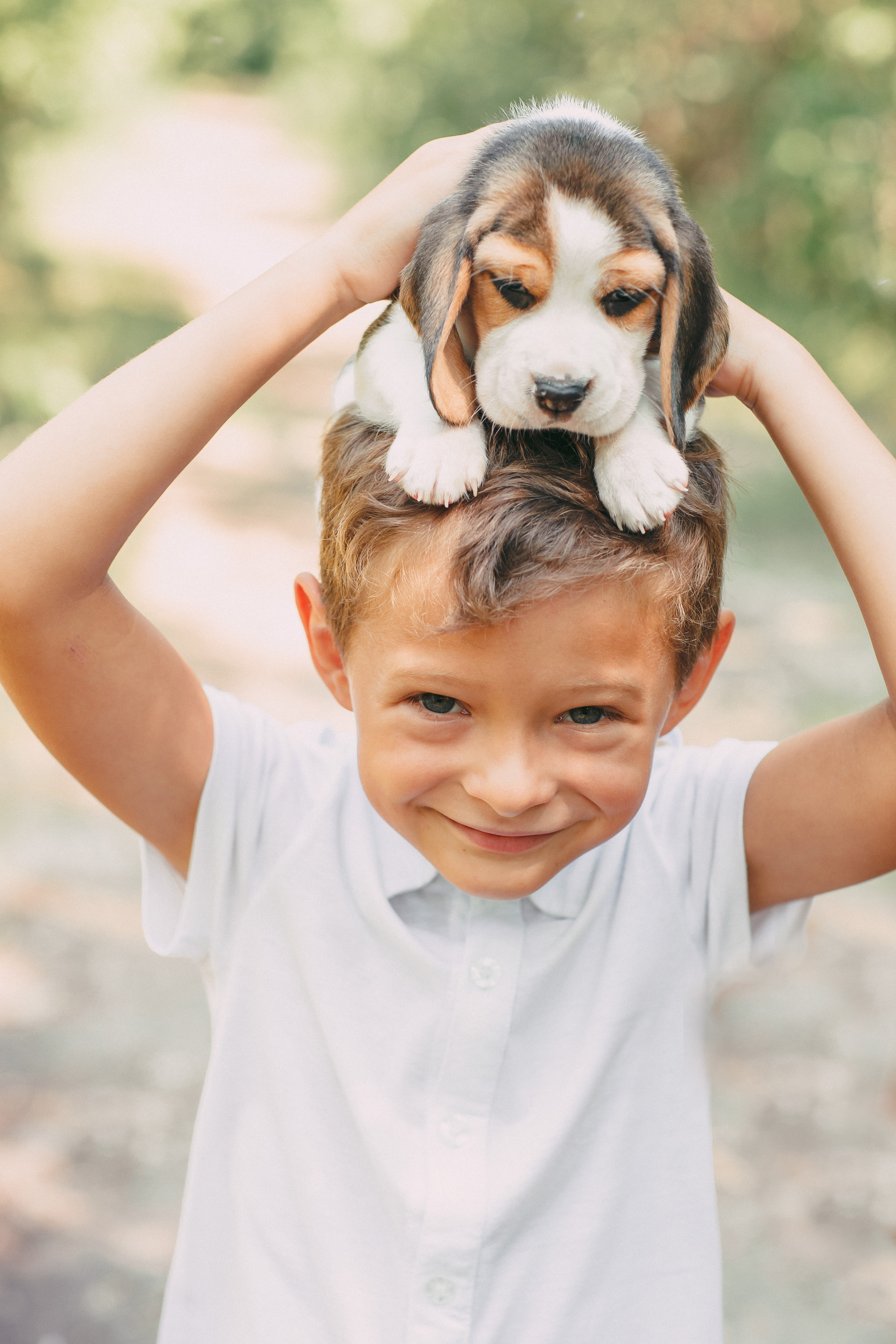 Фотопроектсо щенками Бигли. Свадебный, семейный фотограф в Дзержинске, Нижнем Новгороде Наталья Хр