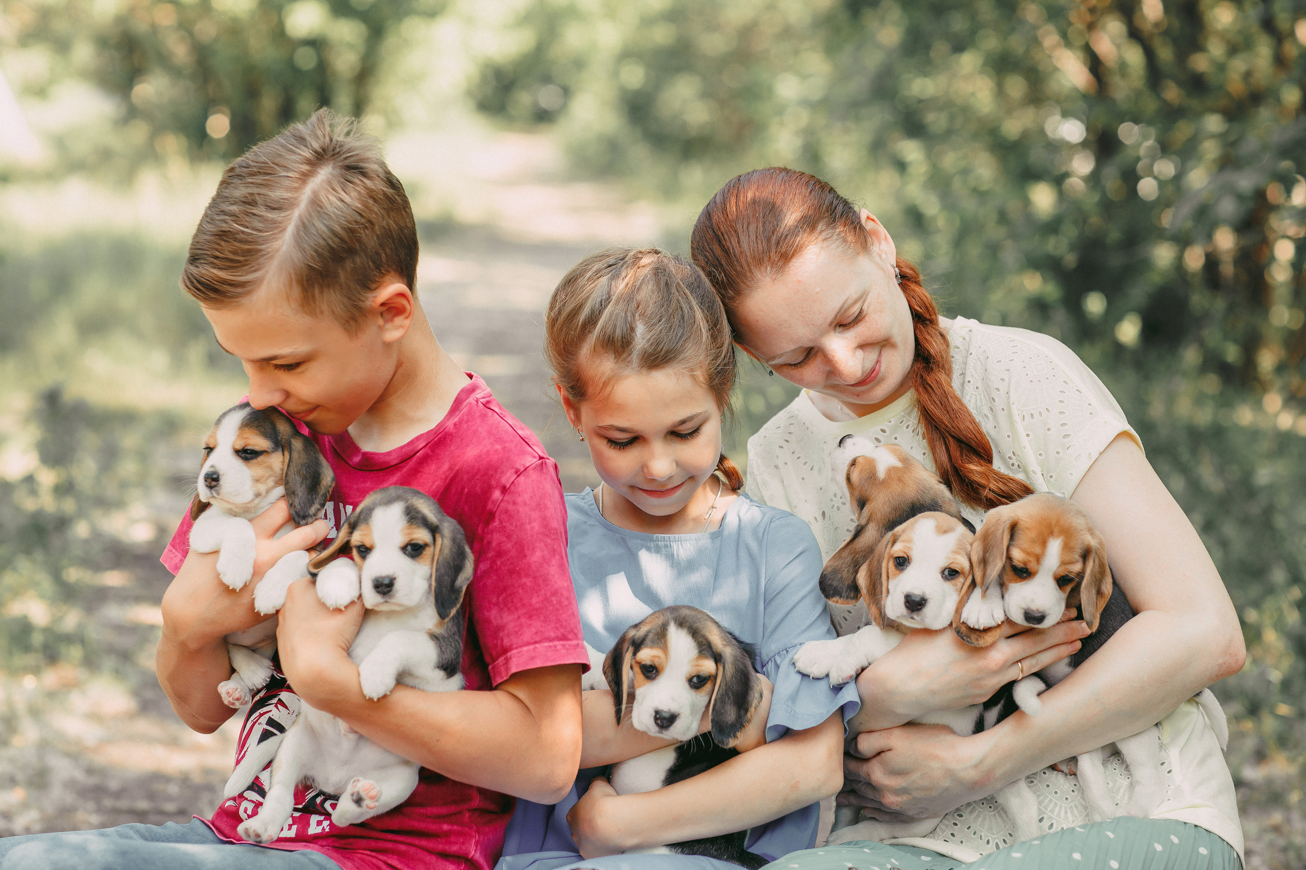 Фотопроектсо щенками Бигли. Свадебный, семейный фотограф в Дзержинске, Нижнем Новгороде Наталья Хр
