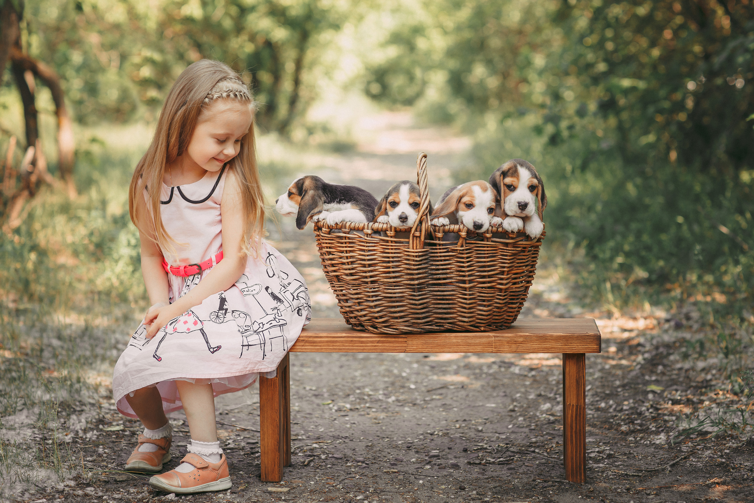 Фотопроектсо щенками Бигли. Свадебный, семейный фотограф в Дзержинске, Нижнем Новгороде Наталья Хр