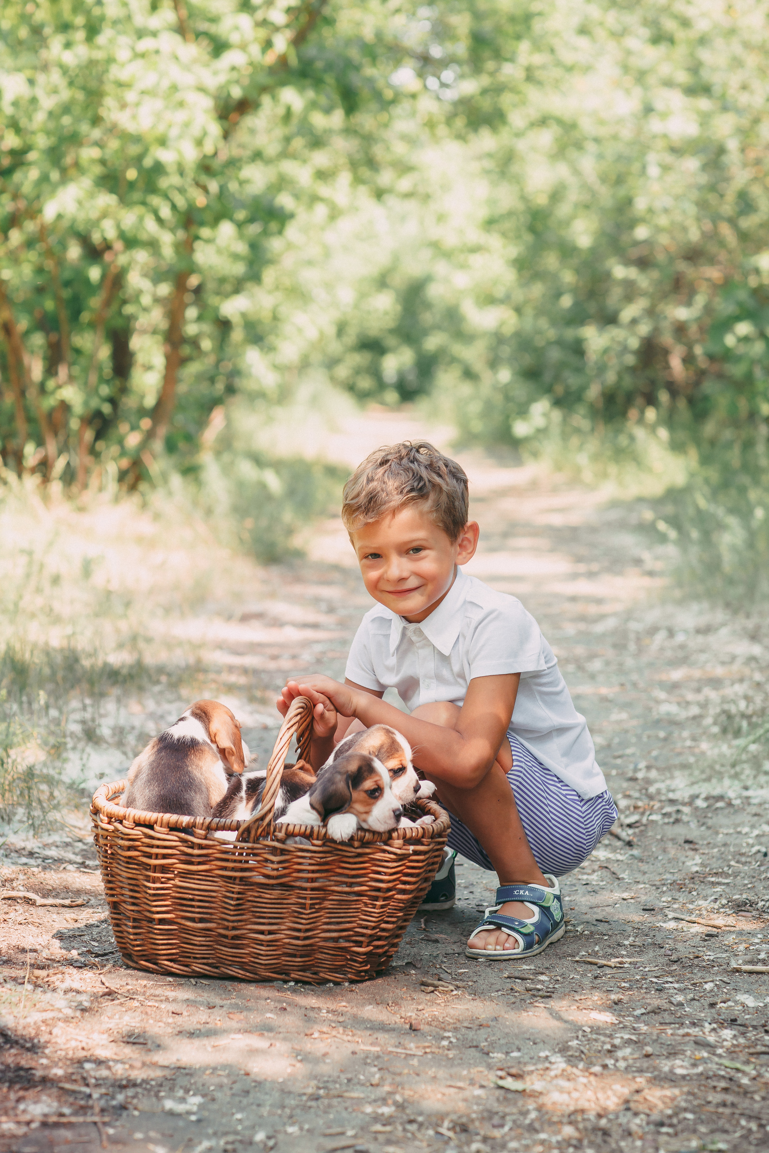 Фотопроектсо щенками Бигли. Свадебный, семейный фотограф в Дзержинске, Нижнем Новгороде Наталья Хр