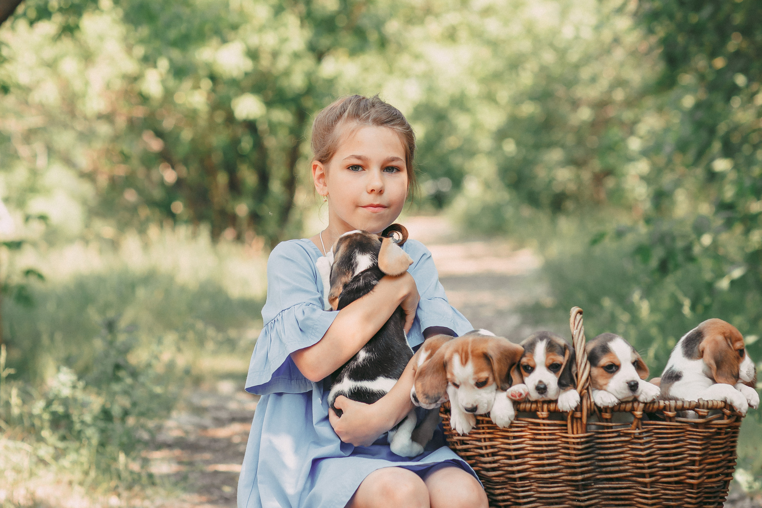 Фотопроектсо щенками Бигли. Свадебный, семейный фотограф в Дзержинске, Нижнем Новгороде Наталья Хр