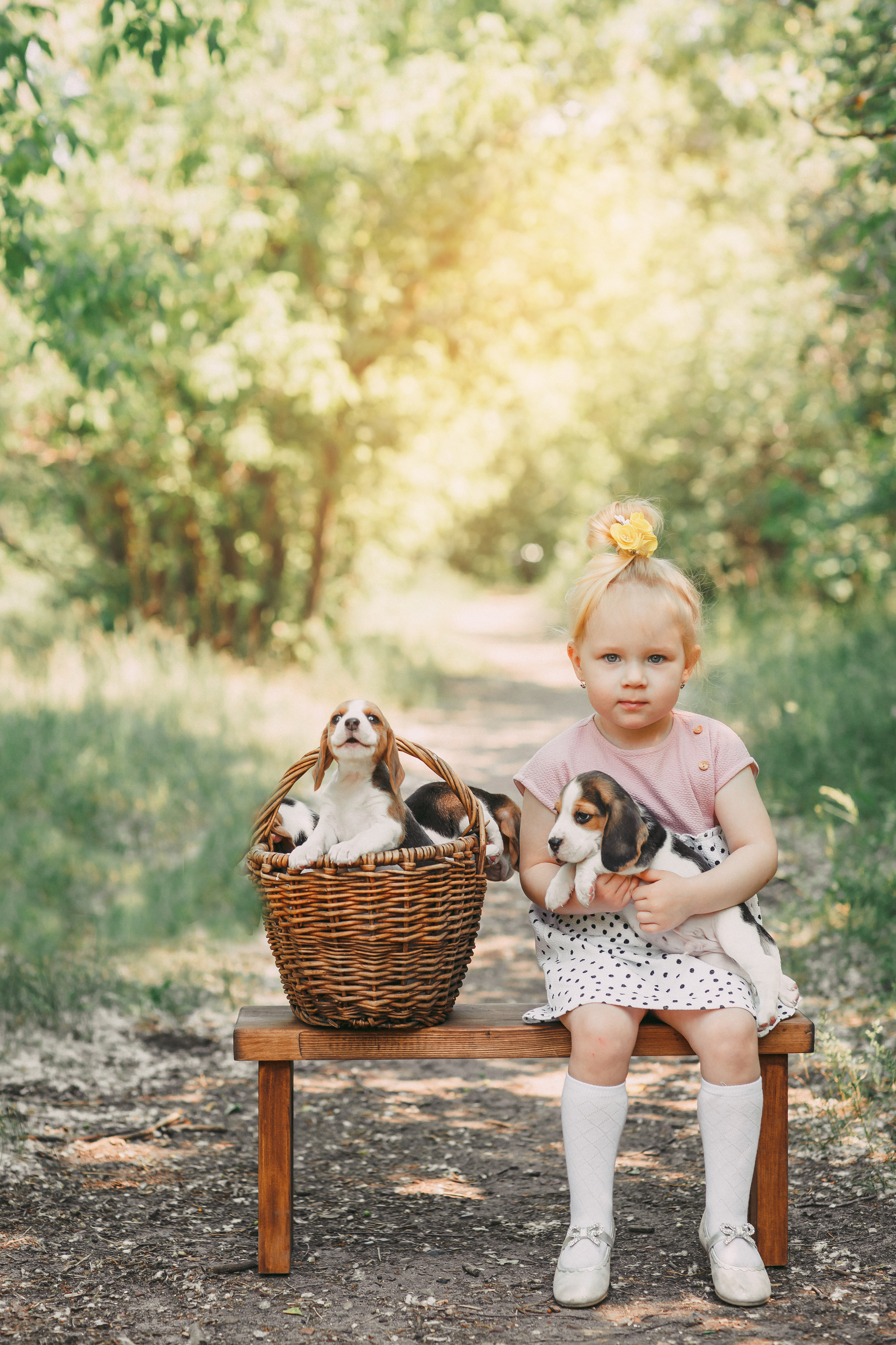Фотопроектсо щенками Бигли. Свадебный, семейный фотограф в Дзержинске, Нижнем Новгороде Наталья Хр