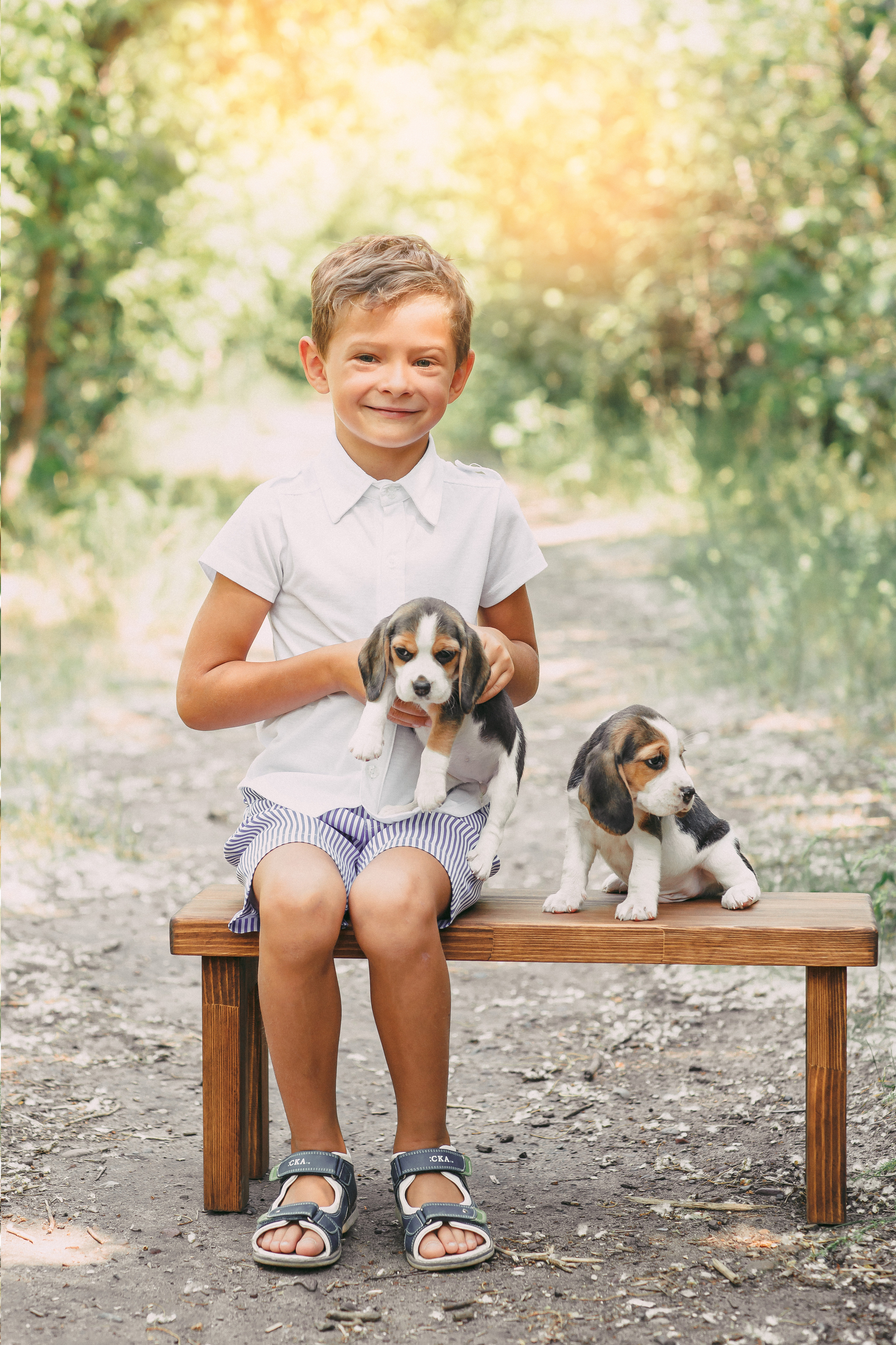 Фотопроектсо щенками Бигли. Свадебный, семейный фотограф в Дзержинске, Нижнем Новгороде Наталья Хр