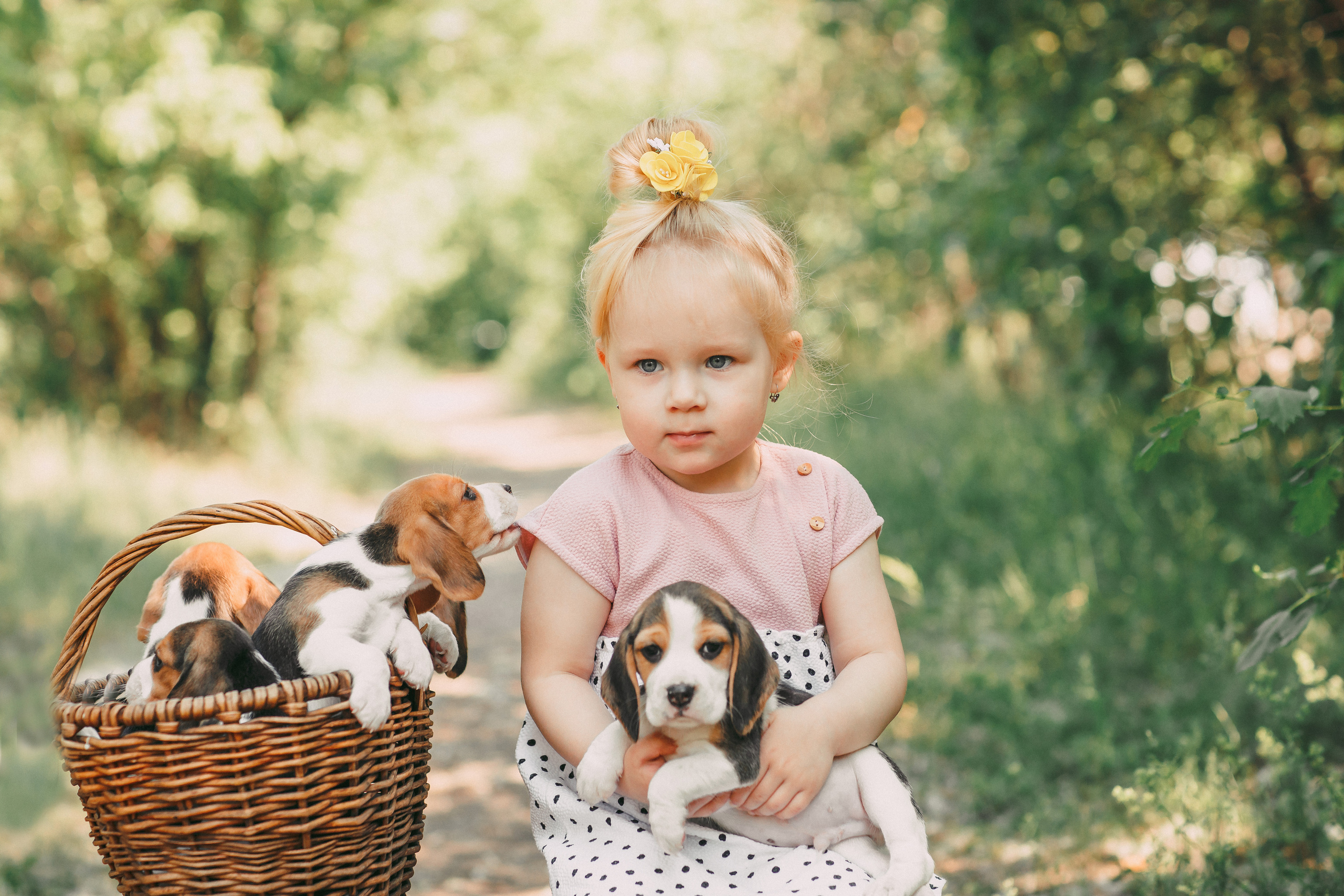 Фотопроектсо щенками Бигли. Свадебный, семейный фотограф в Дзержинске, Нижнем Новгороде Наталья Хр