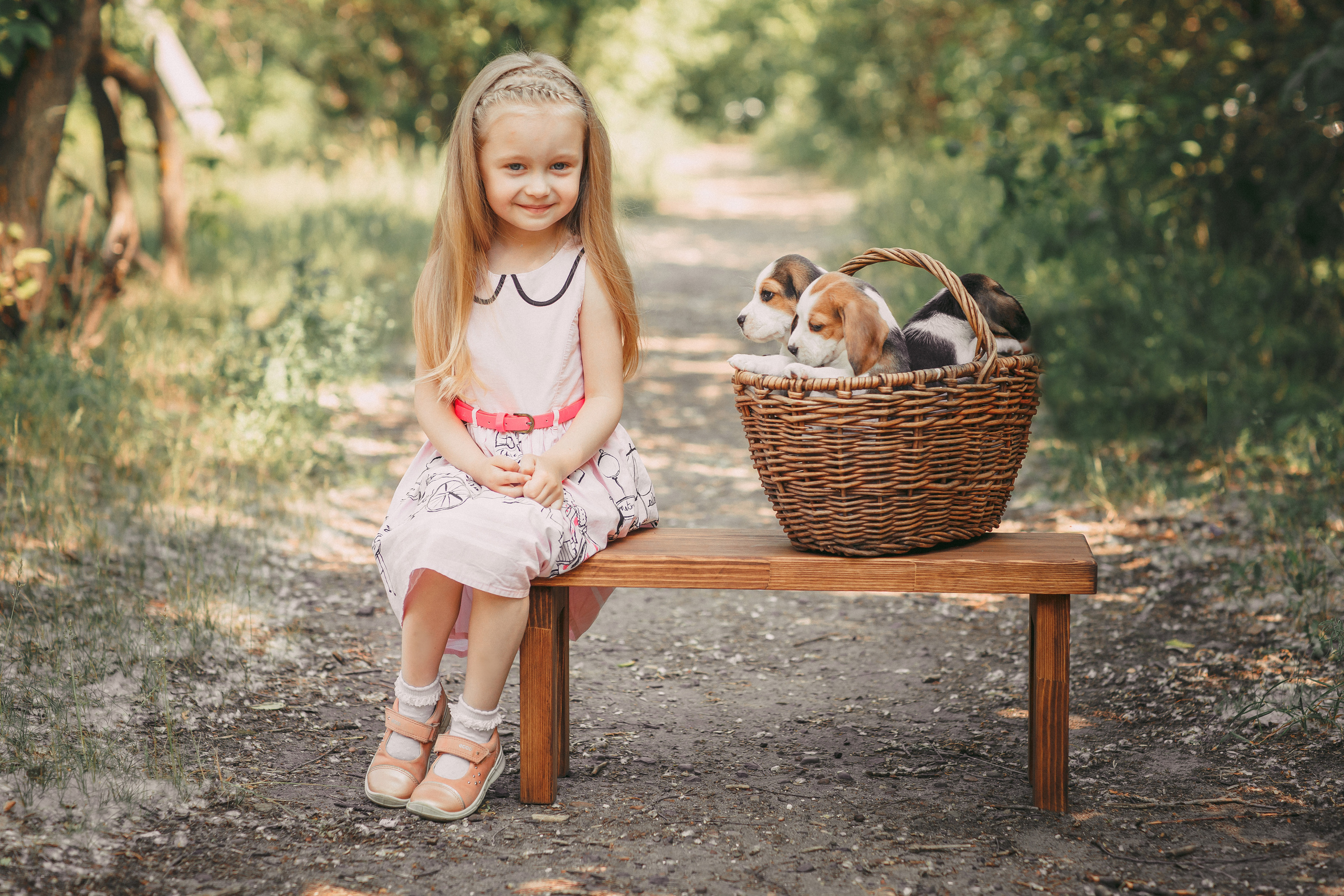 Фотопроектсо щенками Бигли. Свадебный, семейный фотограф в Дзержинске, Нижнем Новгороде Наталья Хр