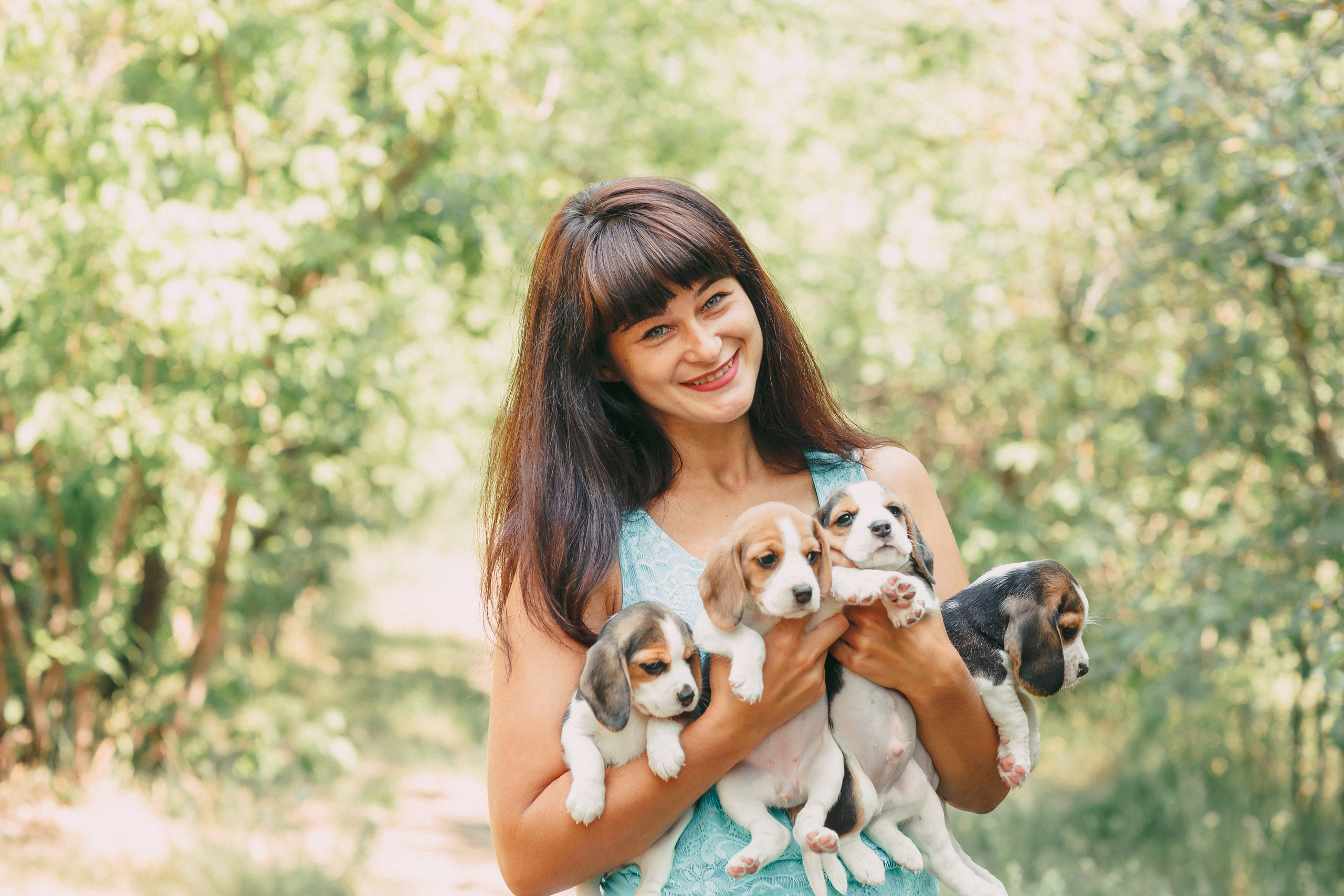 Фотопроектсо щенками Бигли. Свадебный, семейный фотограф в Дзержинске, Нижнем Новгороде Наталья Хр
