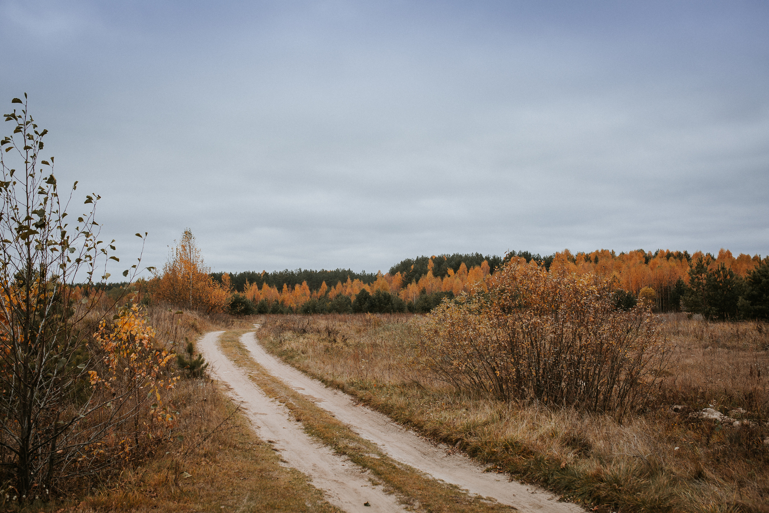 Маргарита+. Свадебный, семейный фотограф в Дзержинске, Нижнем Новгороде Наталья Хр