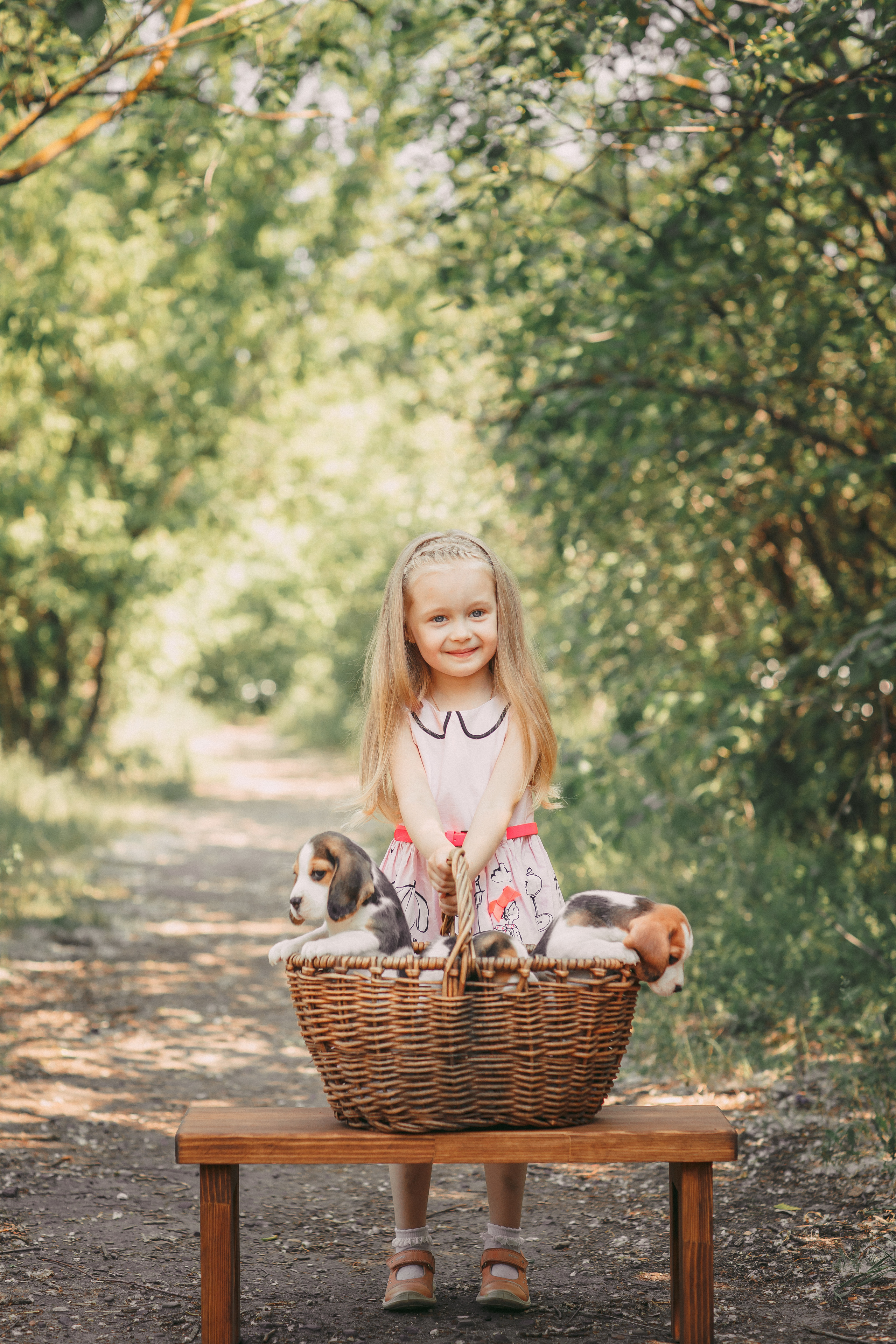 Фотопроектсо щенками Бигли. Свадебный, семейный фотограф в Дзержинске, Нижнем Новгороде Наталья Хр