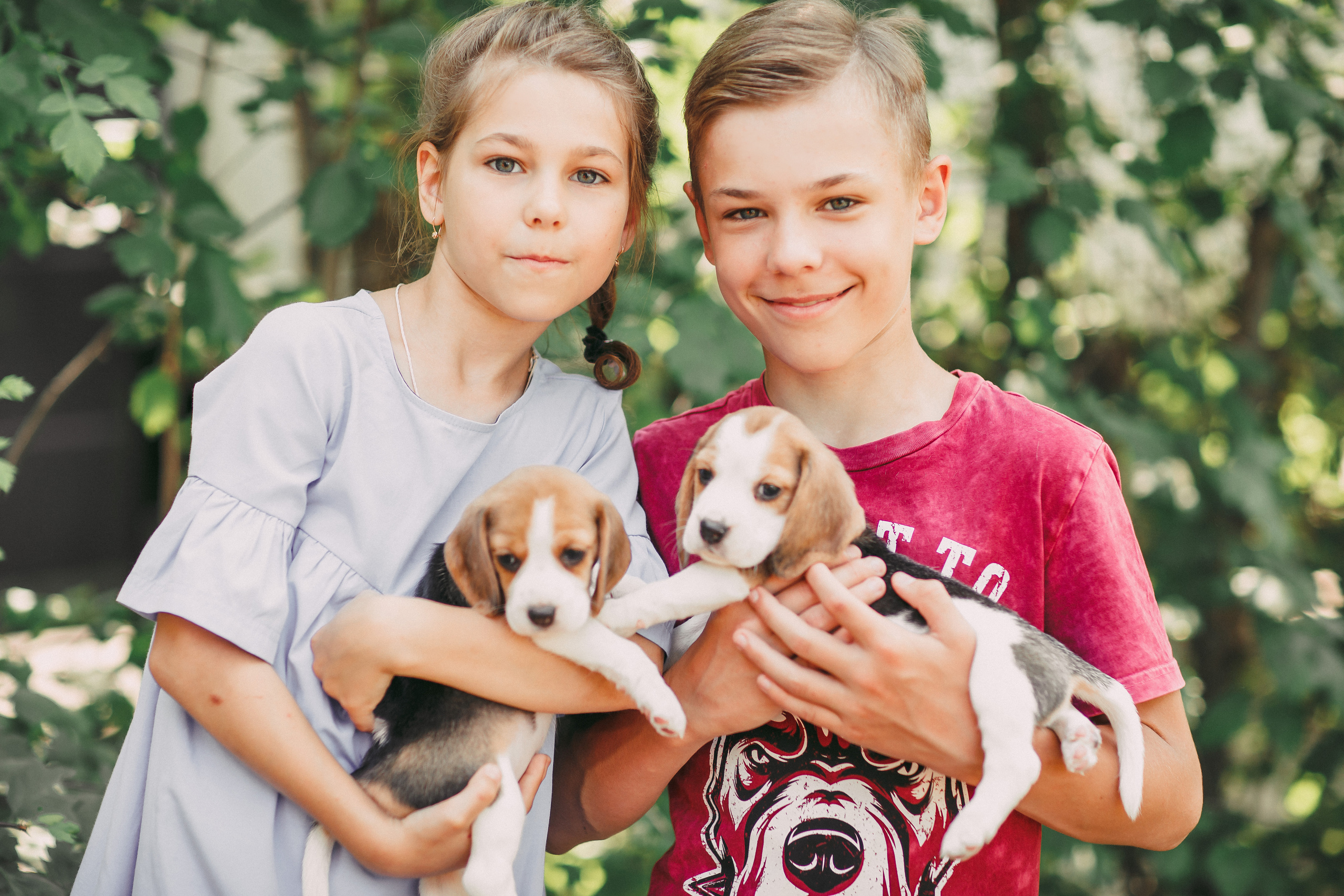 Фотопроектсо щенками Бигли. Свадебный, семейный фотограф в Дзержинске, Нижнем Новгороде Наталья Хр