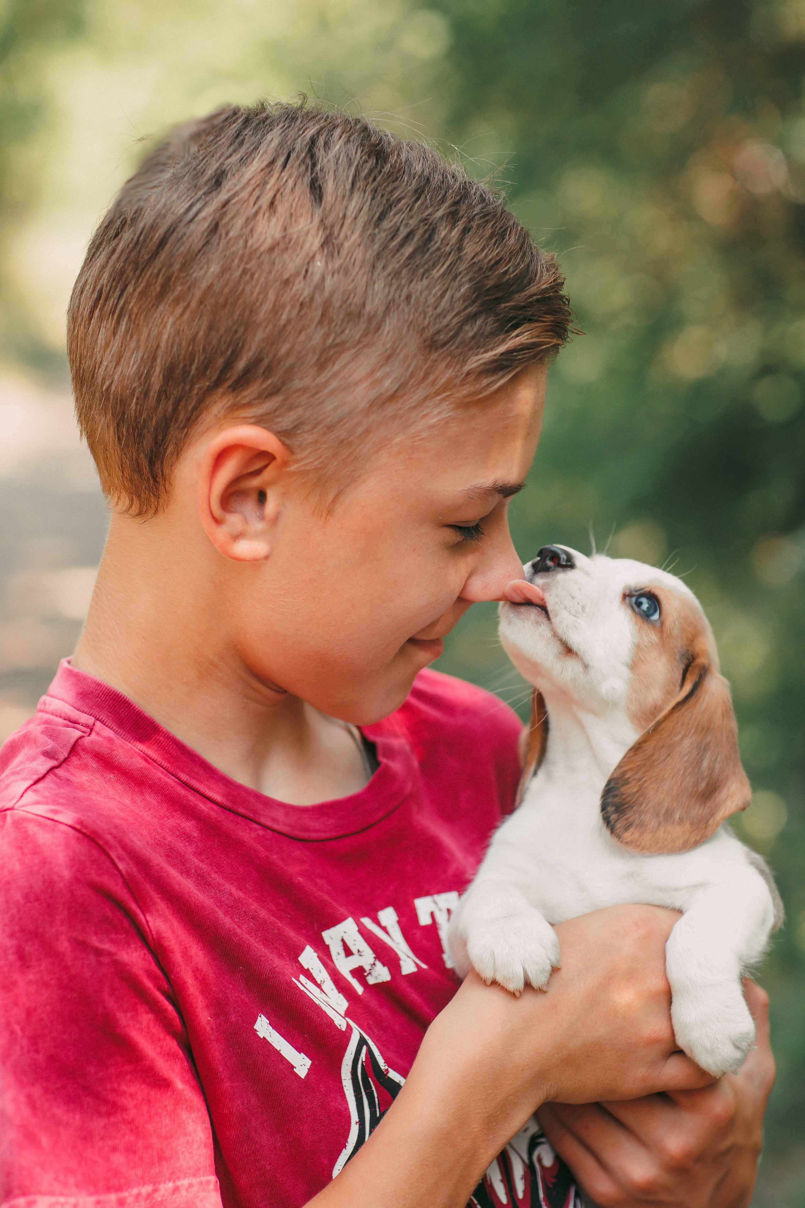 Фотопроектсо щенками Бигли. Свадебный, семейный фотограф в Дзержинске, Нижнем Новгороде Наталья Хр