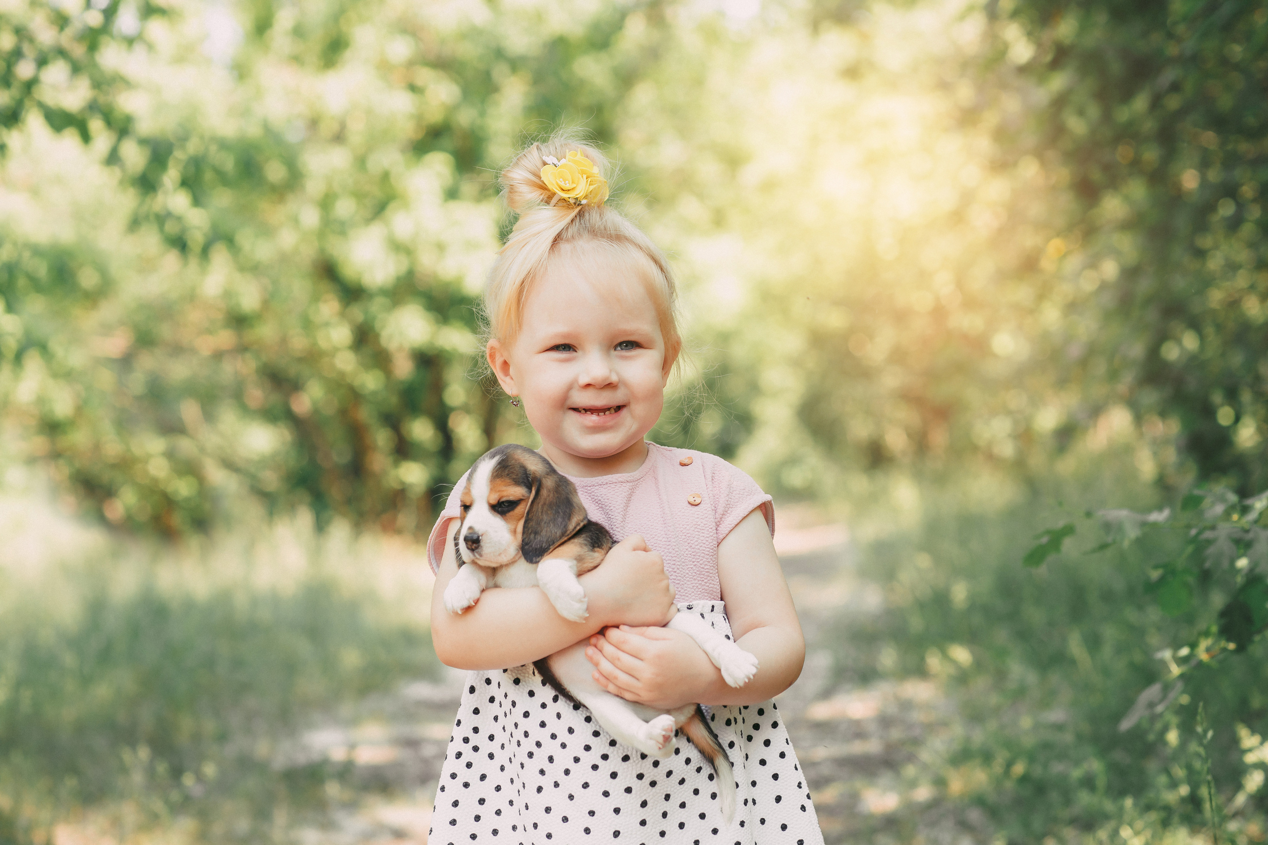 Фотопроектсо щенками Бигли. Свадебный, семейный фотограф в Дзержинске, Нижнем Новгороде Наталья Хр