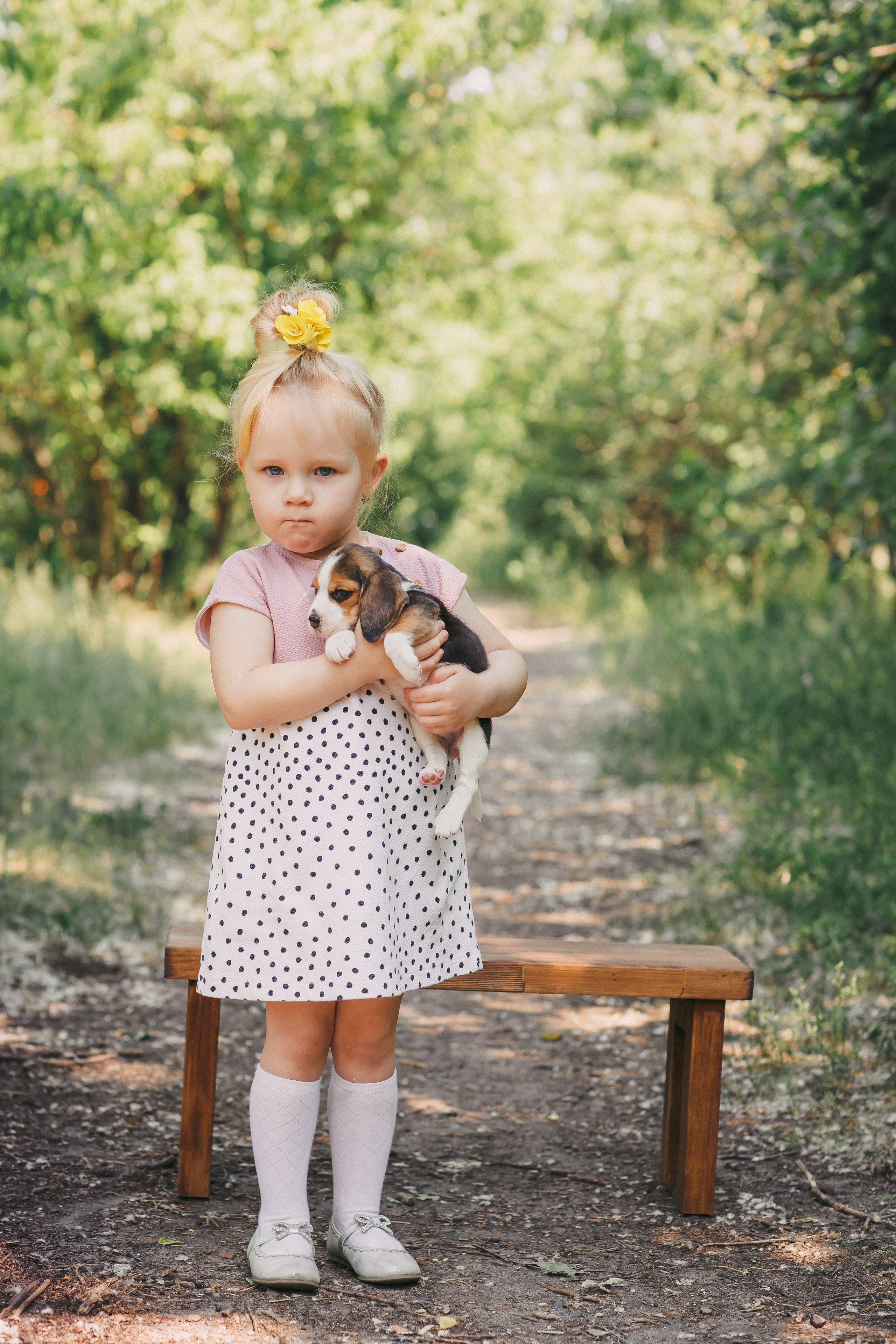 Фотопроектсо щенками Бигли. Свадебный, семейный фотограф в Дзержинске, Нижнем Новгороде Наталья Хр
