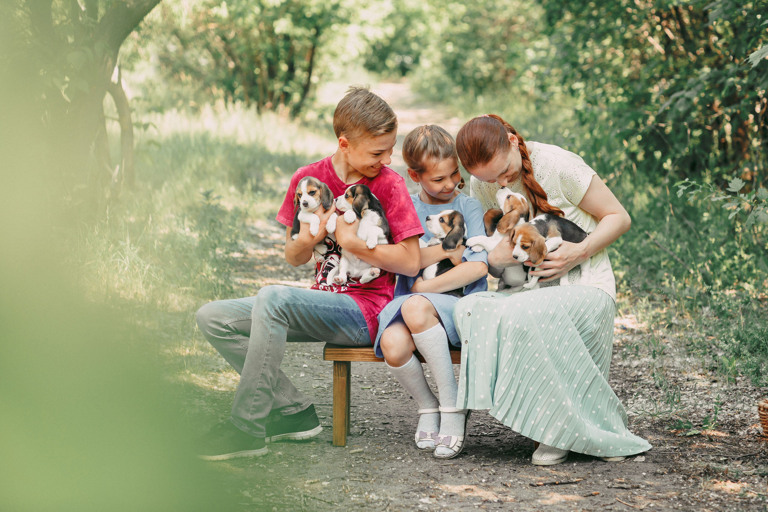 Фотопроектсо щенками Бигли. Свадебный, семейный фотограф в Дзержинске, Нижнем Новгороде Наталья Хр