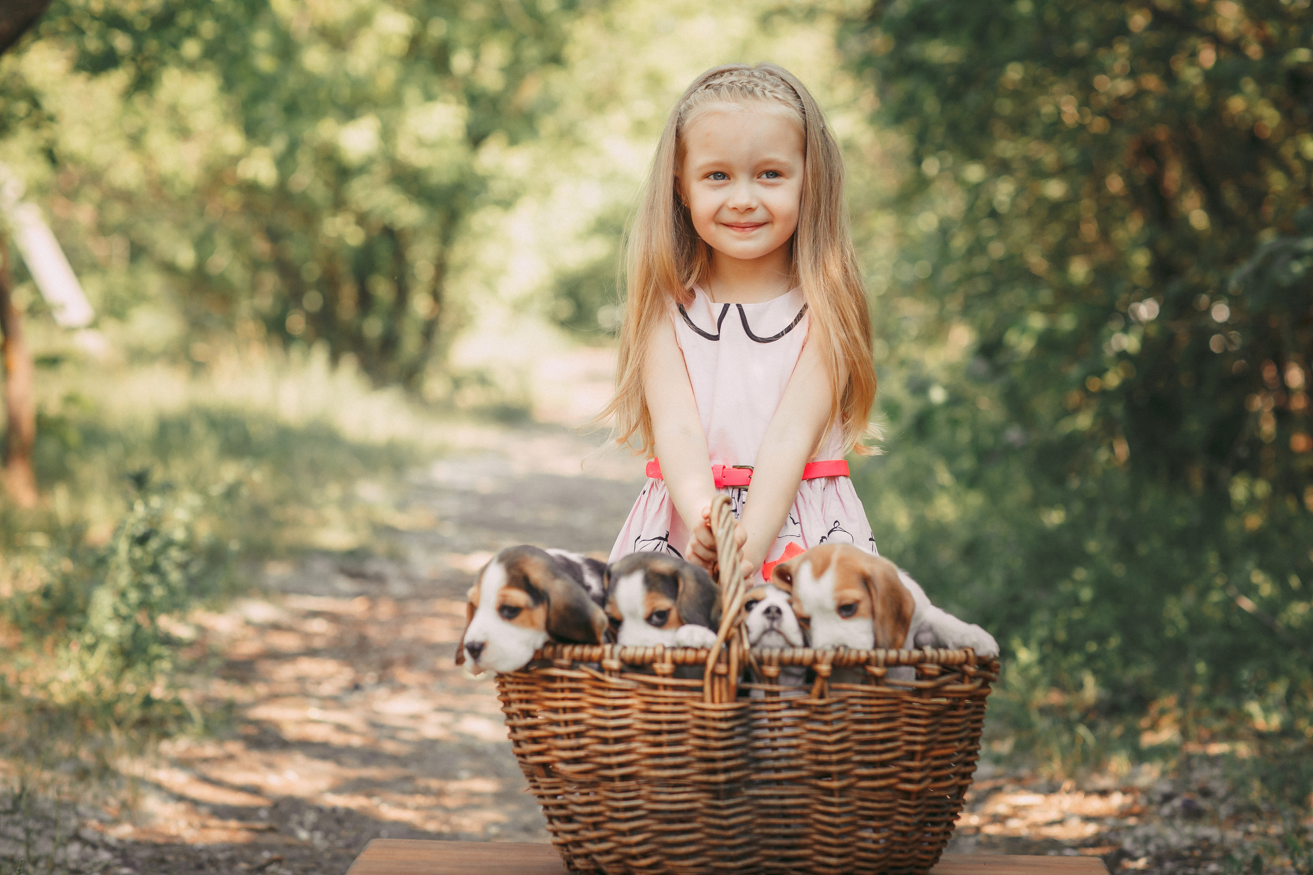 Фотопроектсо щенками Бигли. Свадебный, семейный фотограф в Дзержинске, Нижнем Новгороде Наталья Хр
