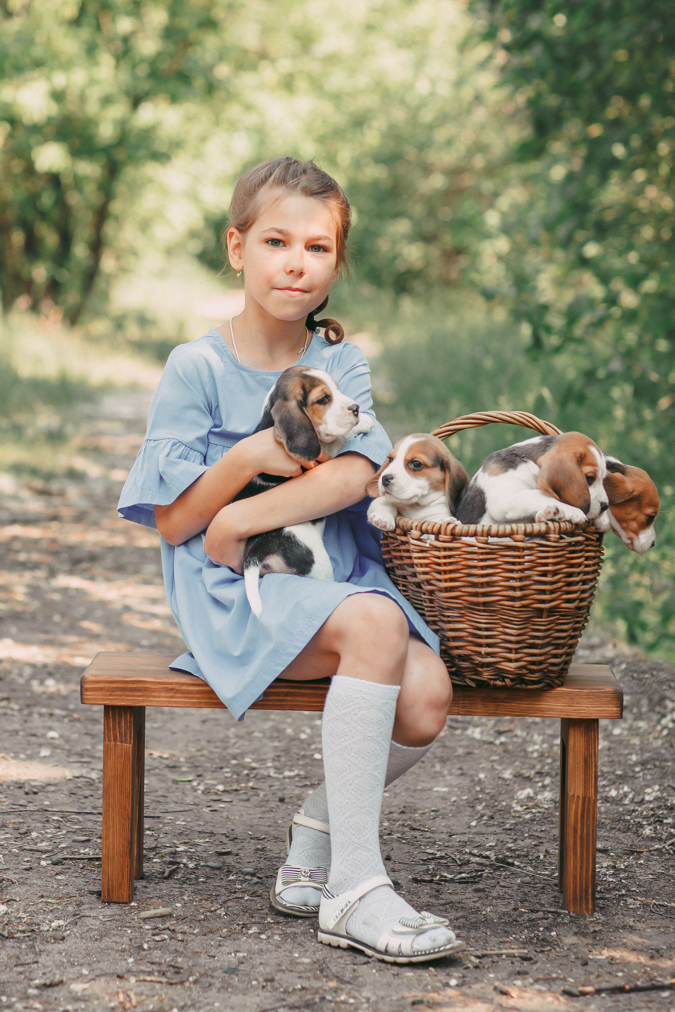 Фотопроектсо щенками Бигли. Свадебный, семейный фотограф в Дзержинске, Нижнем Новгороде Наталья Хр