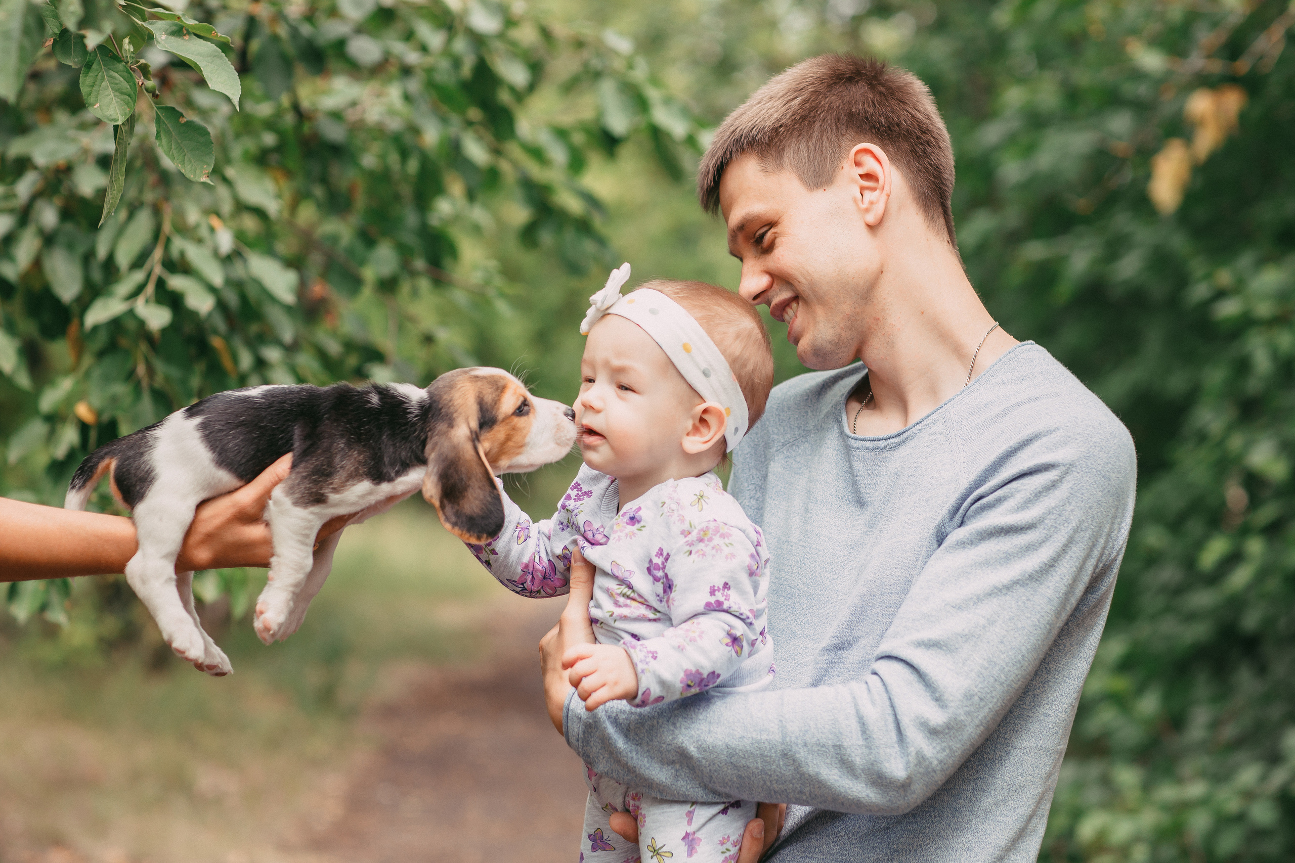 Фотопроектсо щенками Бигли. Свадебный, семейный фотограф в Дзержинске, Нижнем Новгороде Наталья Хр
