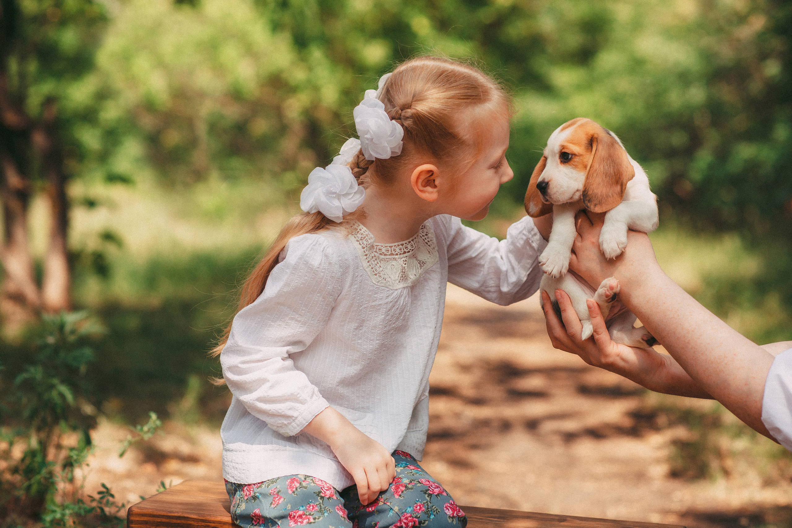 Фотопроектсо щенками Бигли. Свадебный, семейный фотограф в Дзержинске, Нижнем Новгороде Наталья Хр