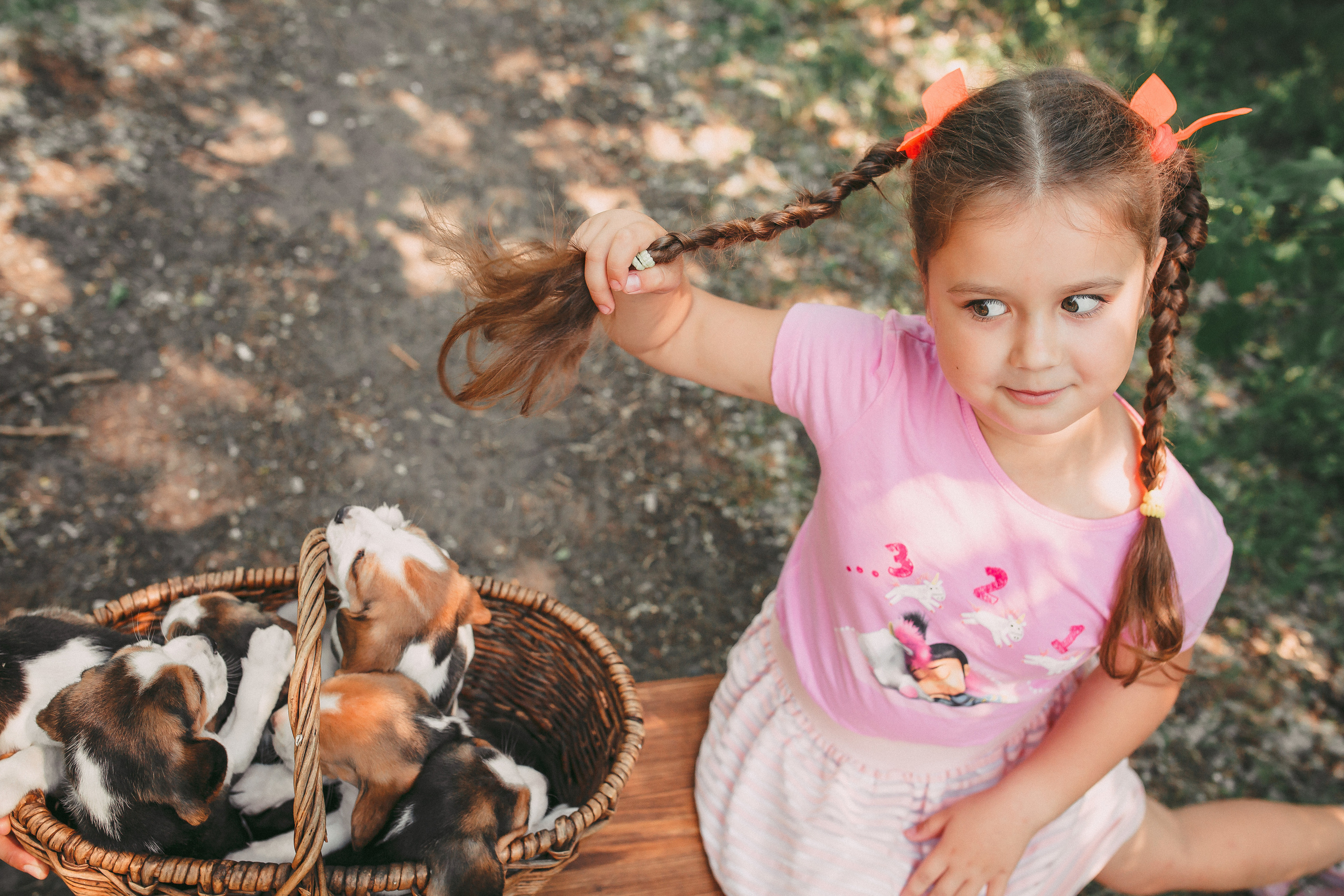 Фотопроектсо щенками Бигли. Свадебный, семейный фотограф в Дзержинске, Нижнем Новгороде Наталья Хр