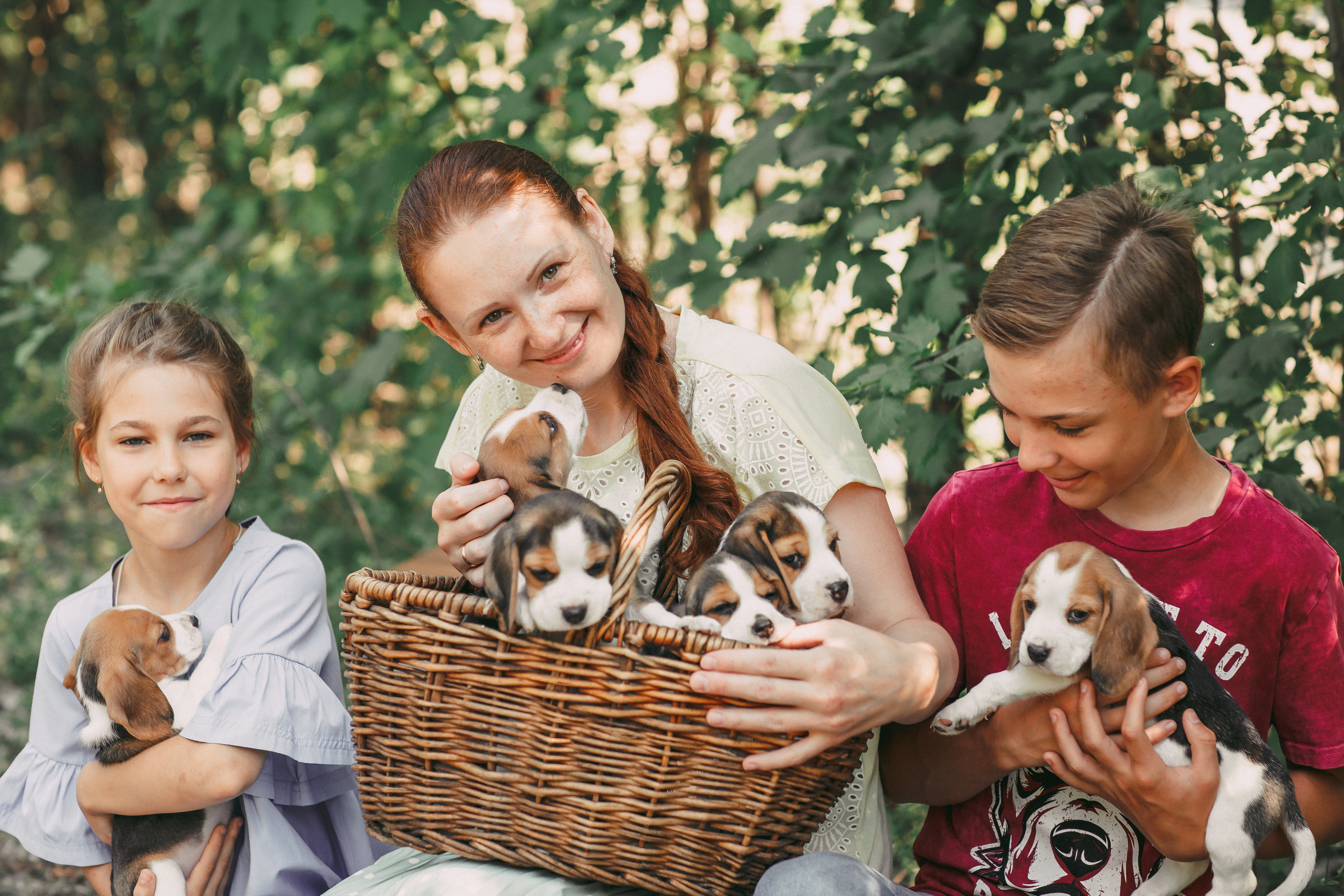 Фотопроектсо щенками Бигли. Свадебный, семейный фотограф в Дзержинске, Нижнем Новгороде Наталья Хр