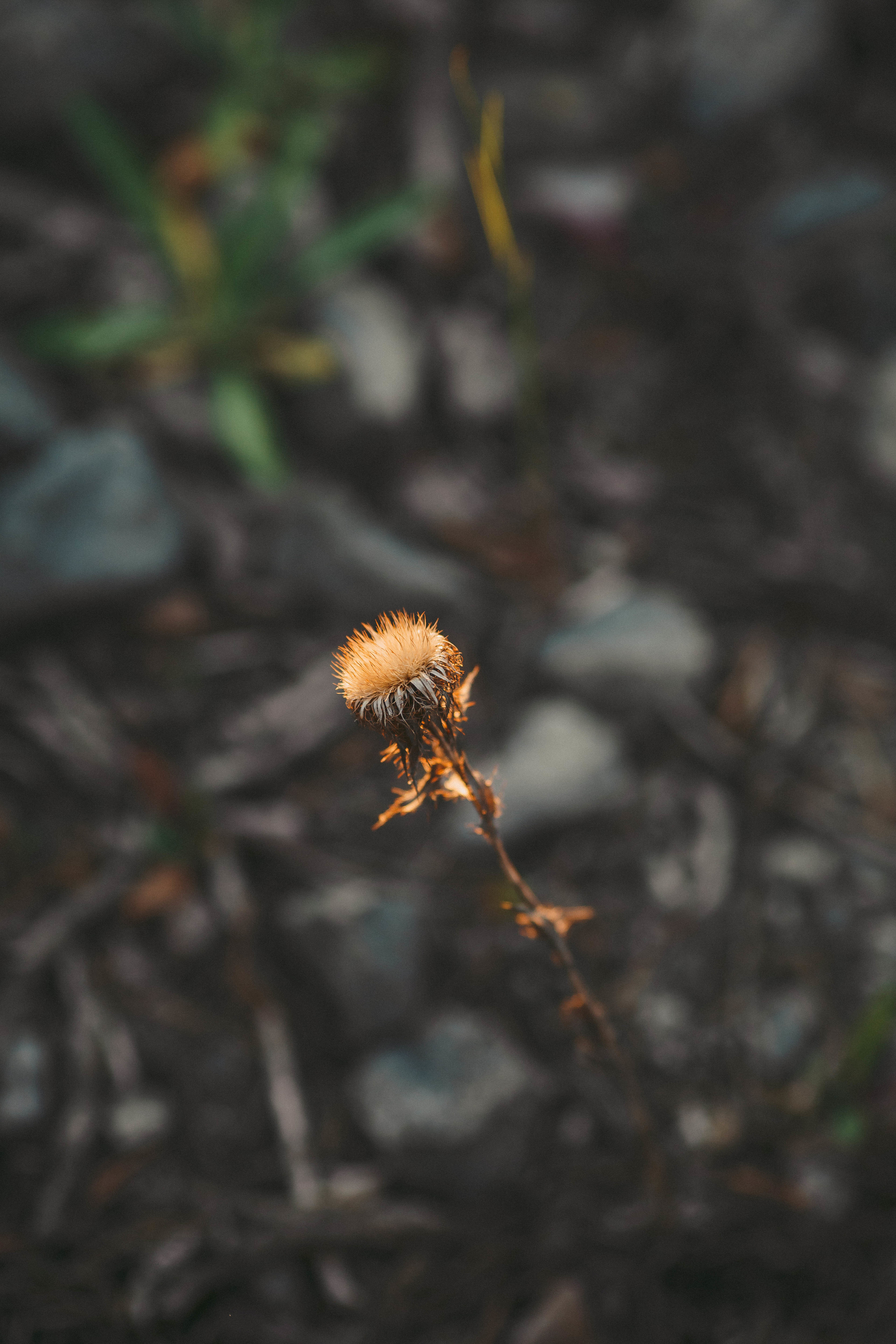 Алексей и Елизавета I 28.06.2018. Свадебный, семейный фотограф в Дзержинске, Нижнем Новгороде Наталья Хр