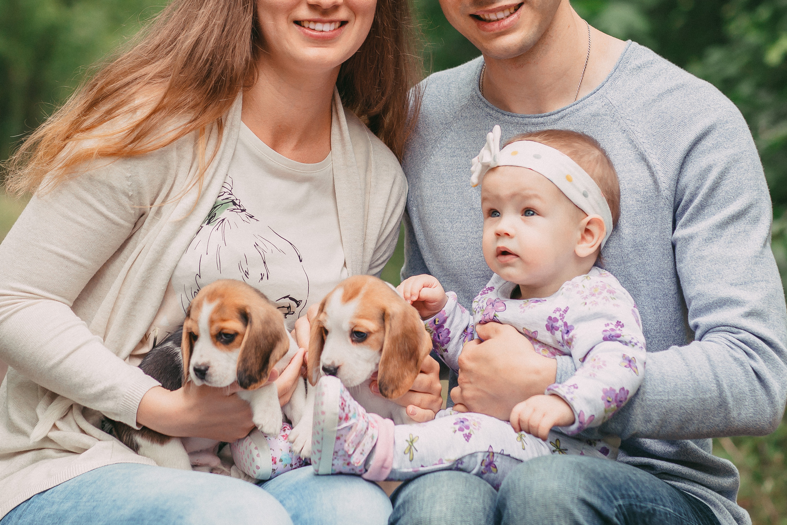 Фотопроектсо щенками Бигли. Свадебный, семейный фотограф в Дзержинске, Нижнем Новгороде Наталья Хр