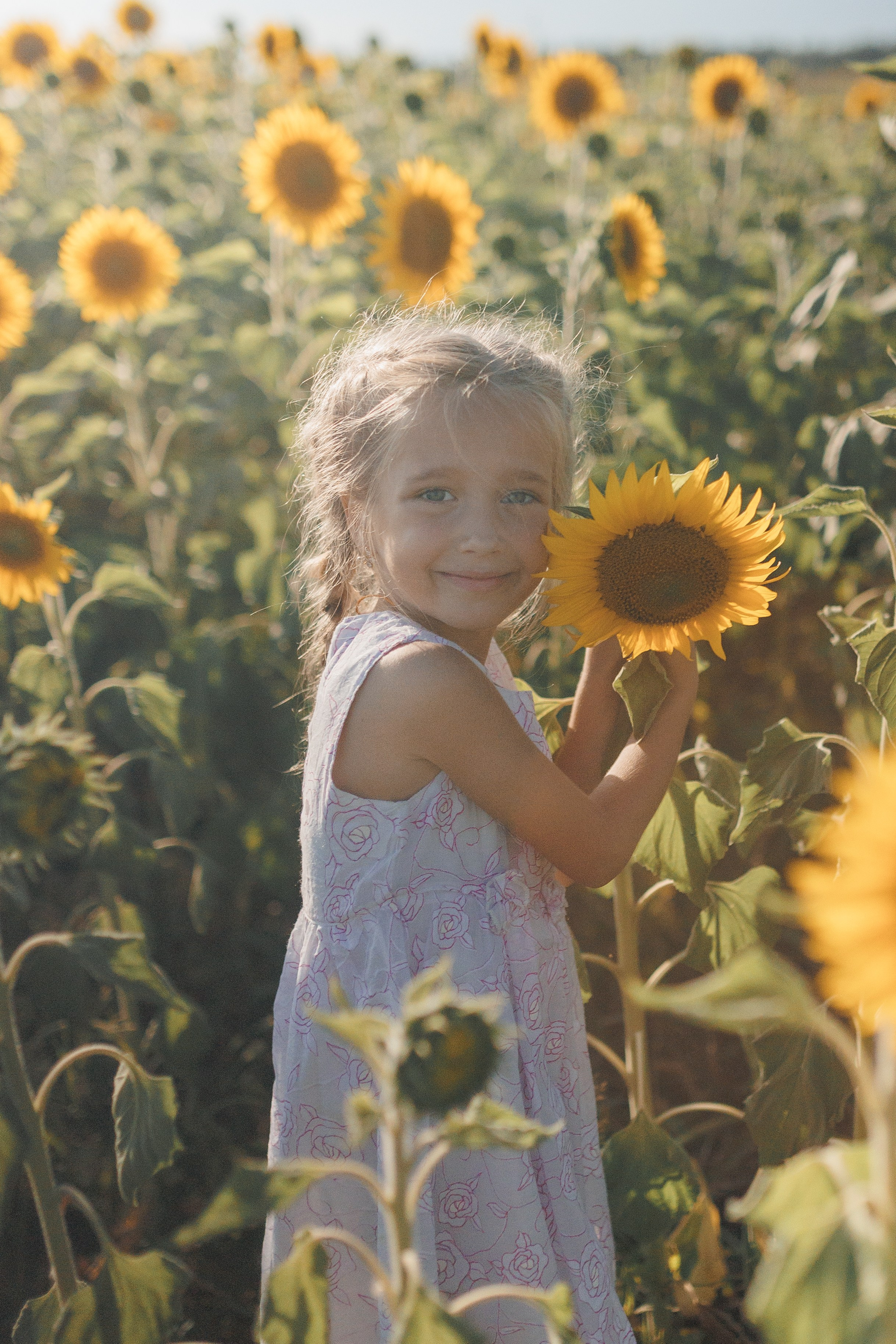 Дети и подсолнухи. Семейный фотограф lifestyle в Новосибирске Елена Шпилевая