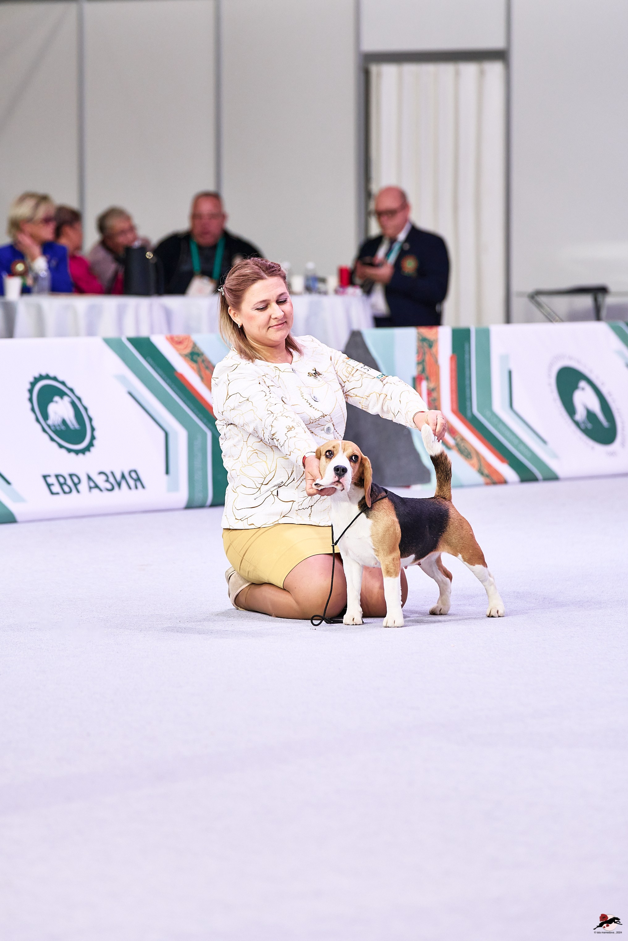 16.11.2024 «ЕВРАЗИЯ. КУБОК ПРЕЗИДЕНТА РКФ 2024»