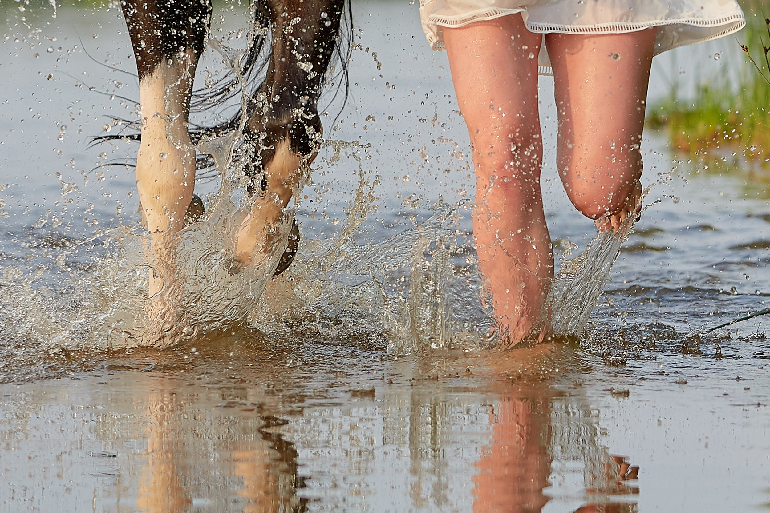 Фотосессия с лошадьми, Фотограф Михаил Семенов г. Ярославль