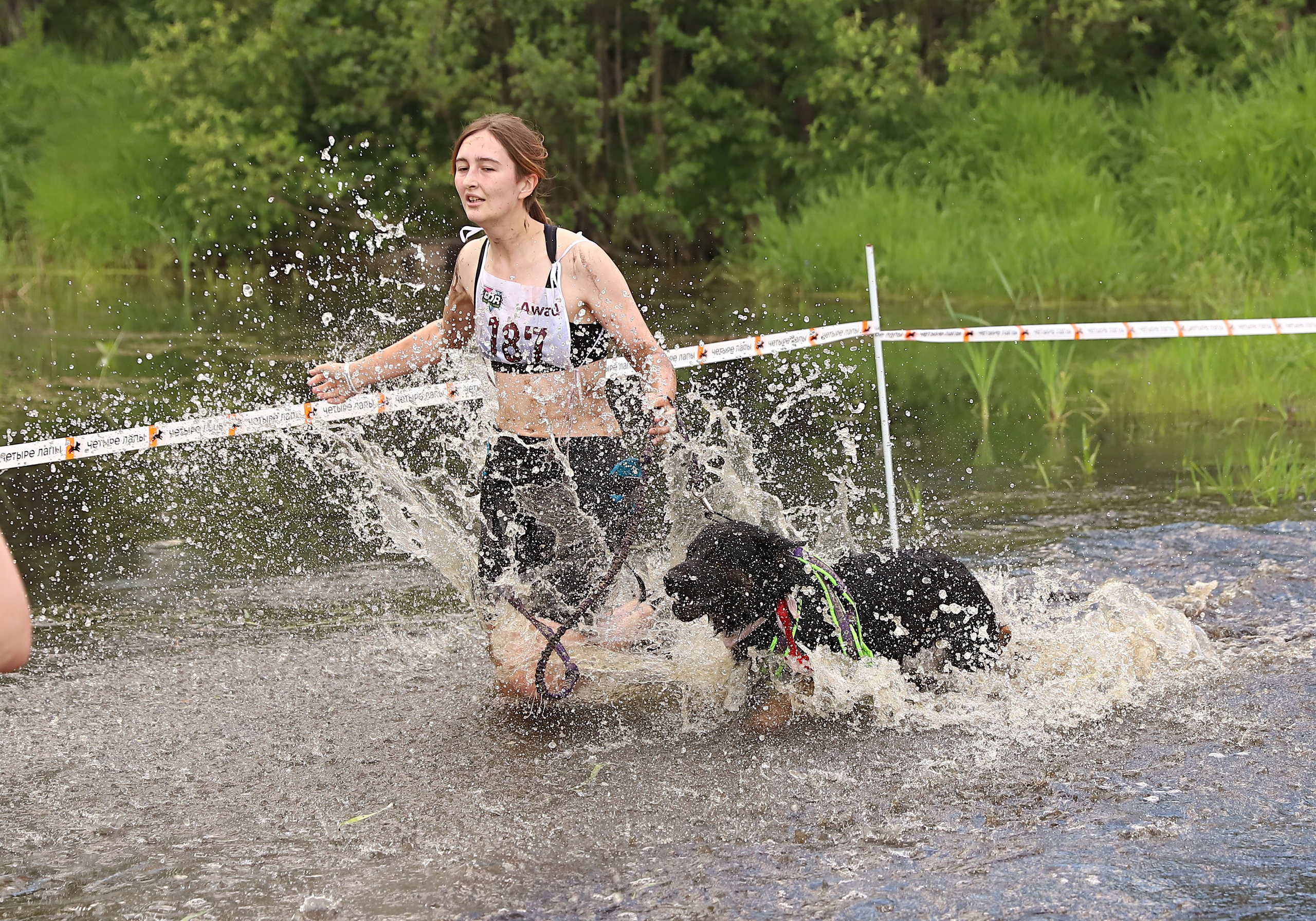Хвостатый драйв. Семейный и детский фотограф в Москве и МО Елена Москвичева