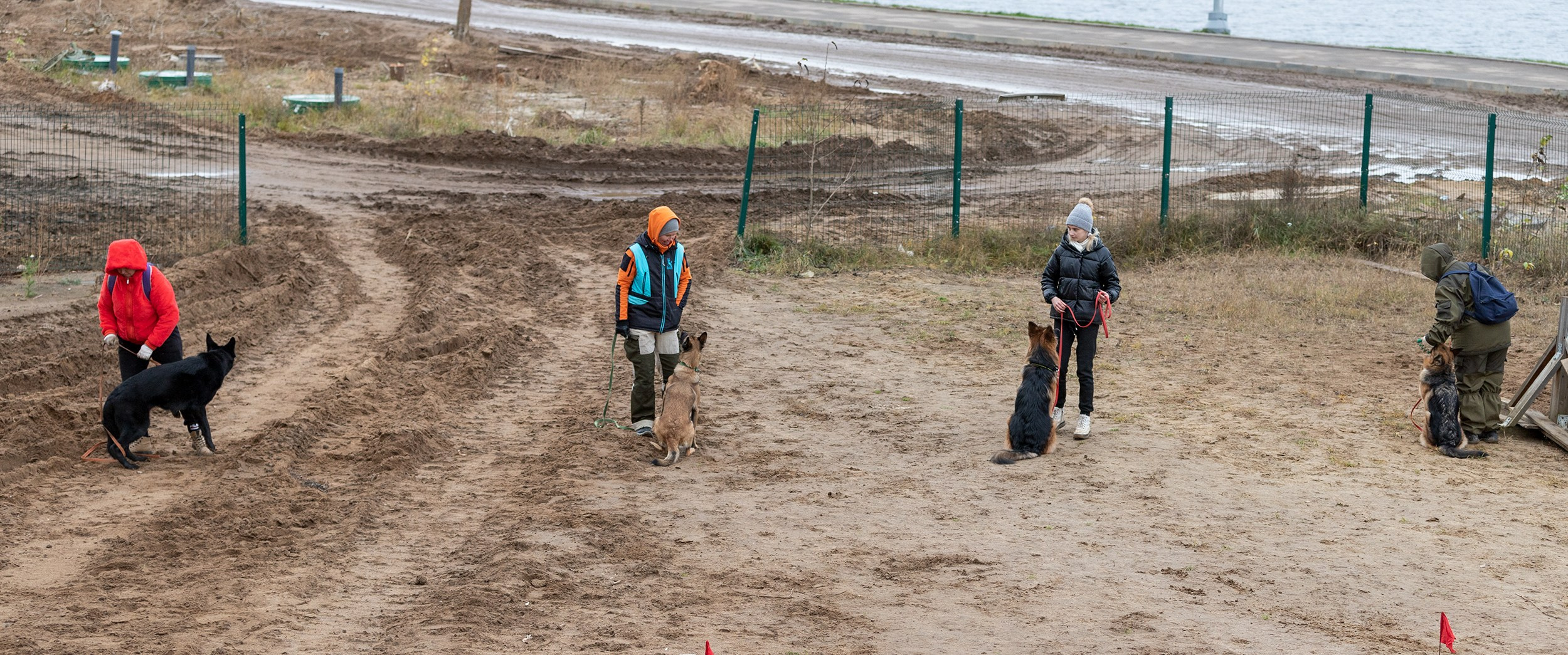 Вера и Чейз на экзамене ОКД. Фотограф-анималист в Калуге Мария Шерскова