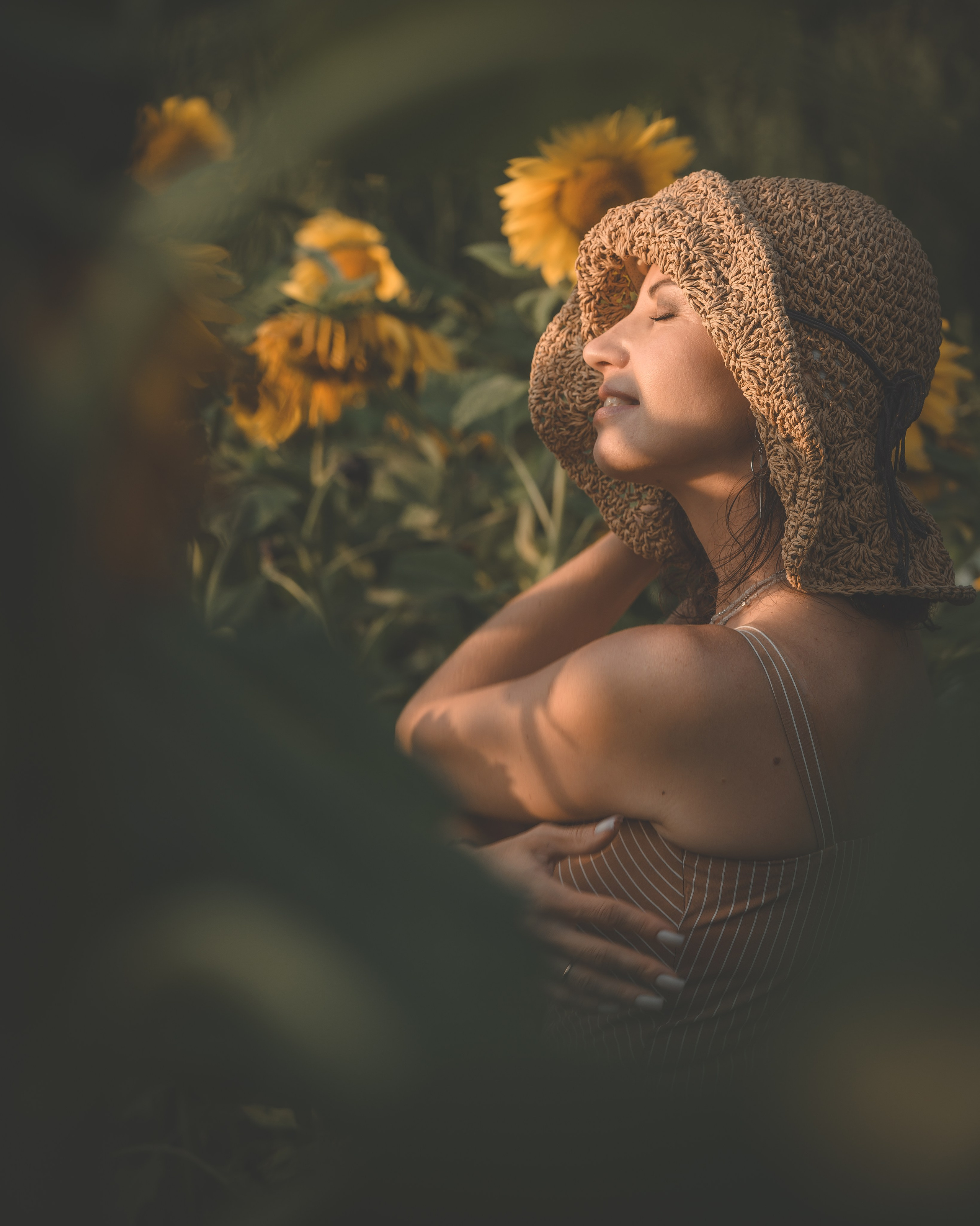 Подсолнухи. Фотограф г. Хабаровск