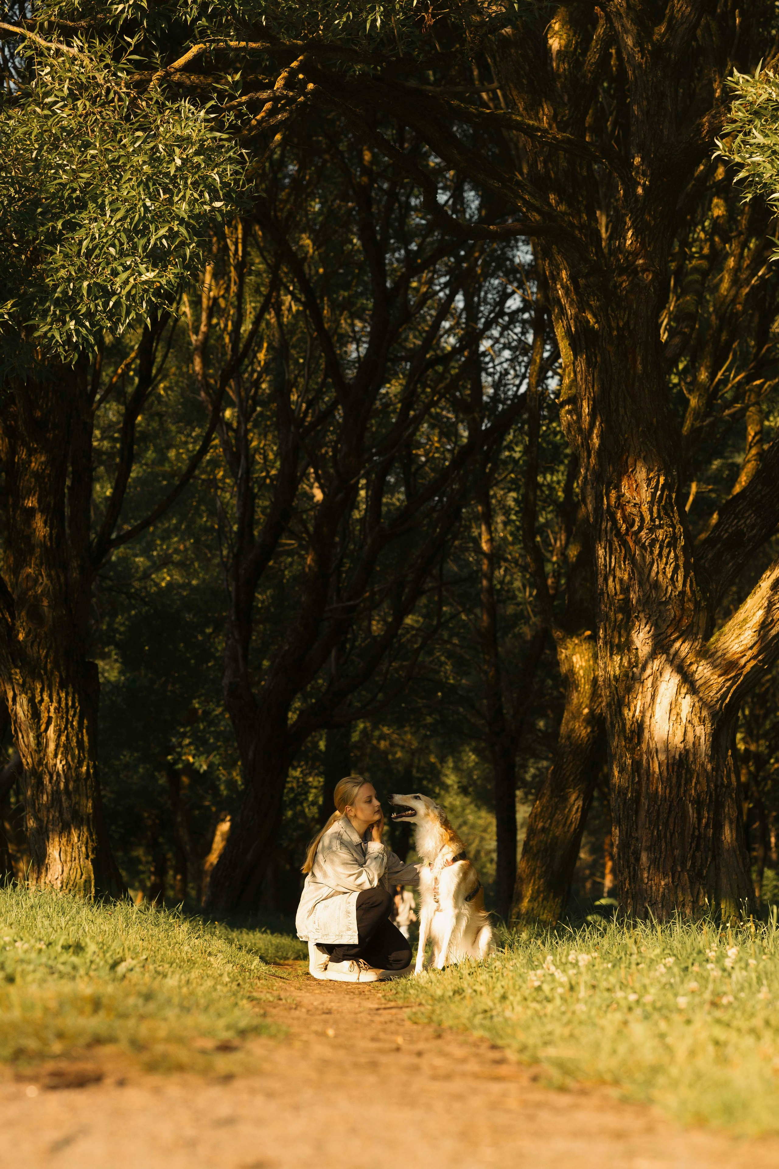 Тайга. Фотограф- анималист Александра Матвеева