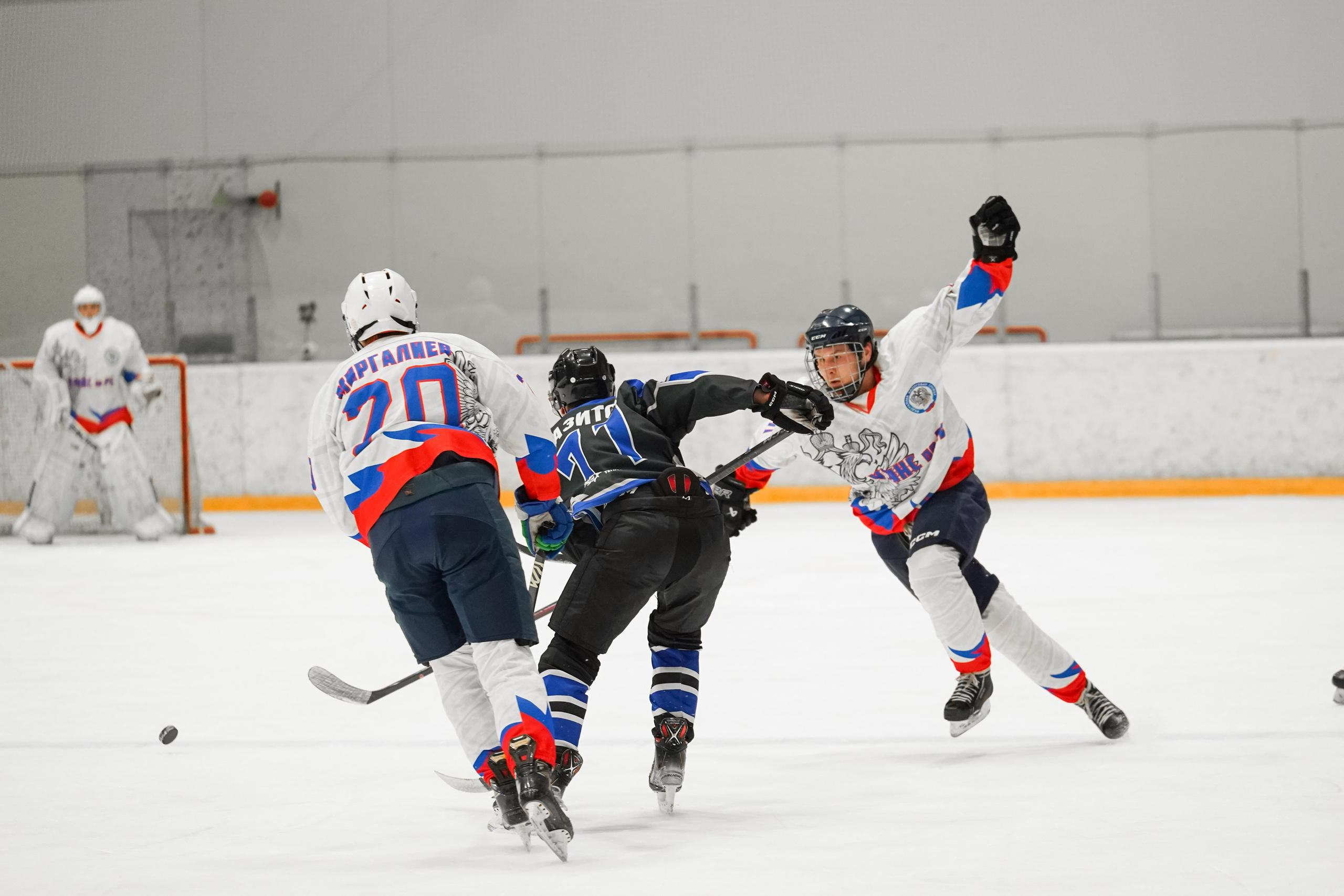 Башкирская хоккейная лига. Маслухин Дмитрий — Ваш Фотограф