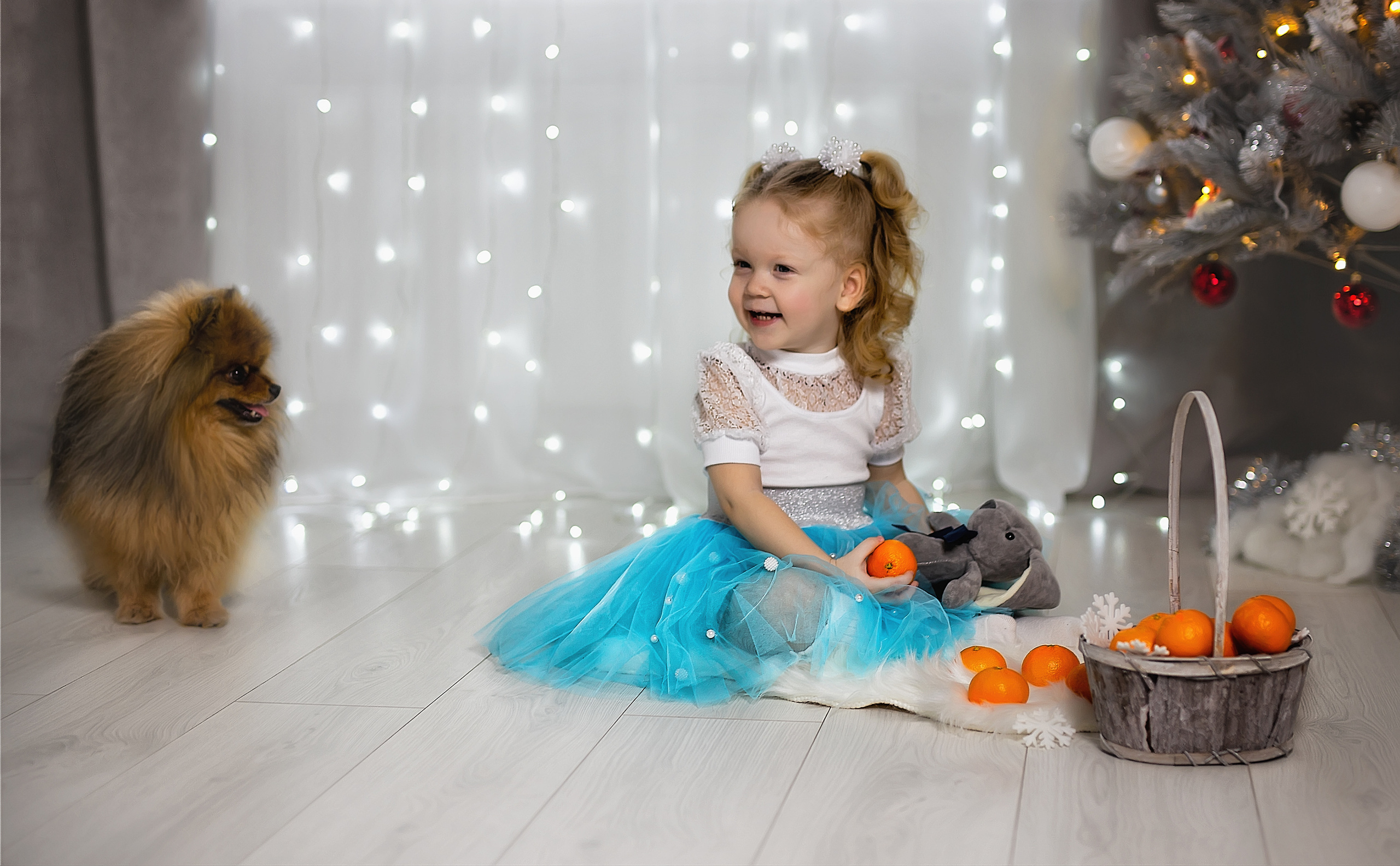 Девочка в голубой юбке смотрит на собаку и играет мандаринами.  