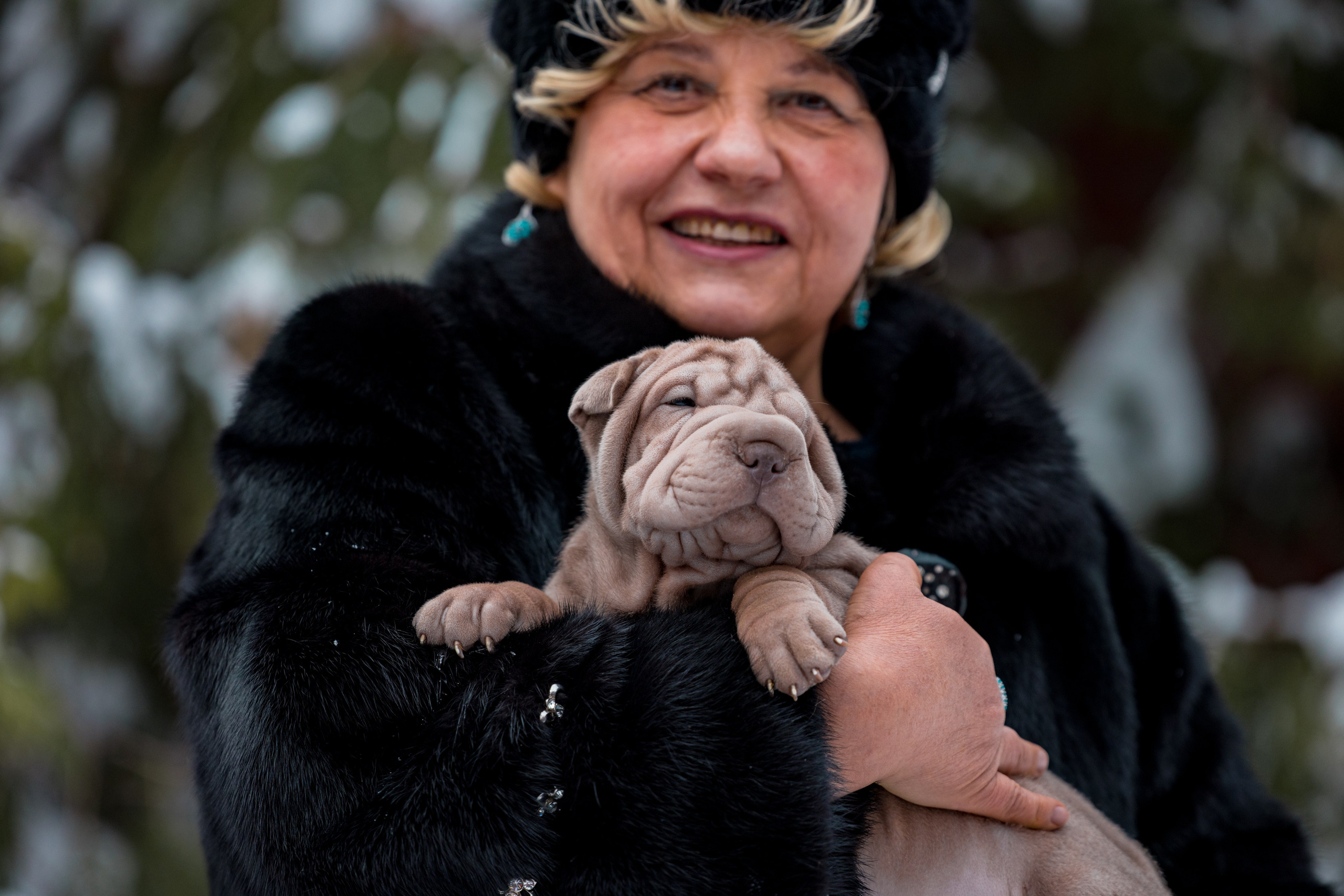 В гостях у шарпеев 16.01.2024. Фотограф-анималист Юлия Германика