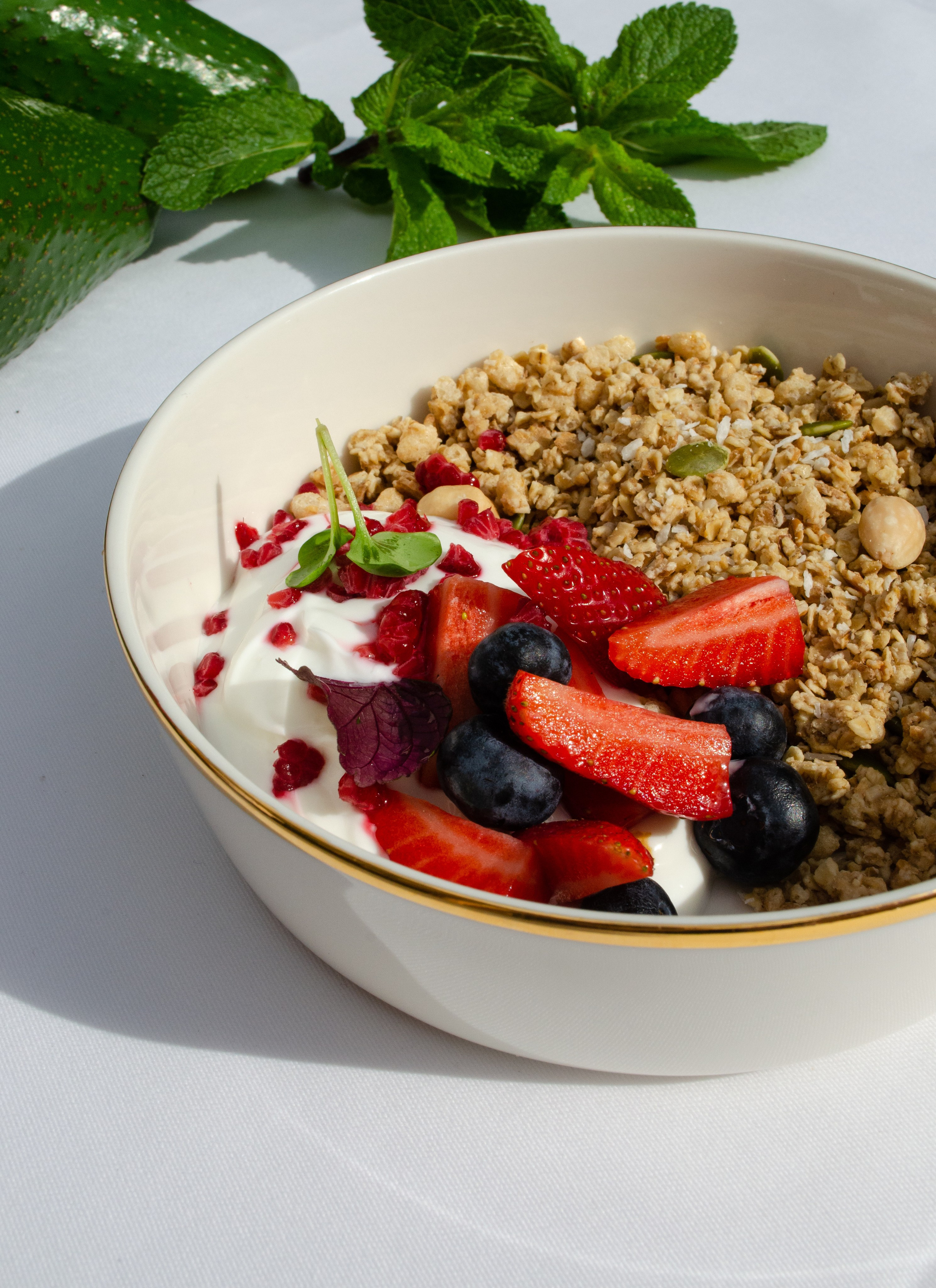 Роза Хутор Modys ресторан. Фотограф