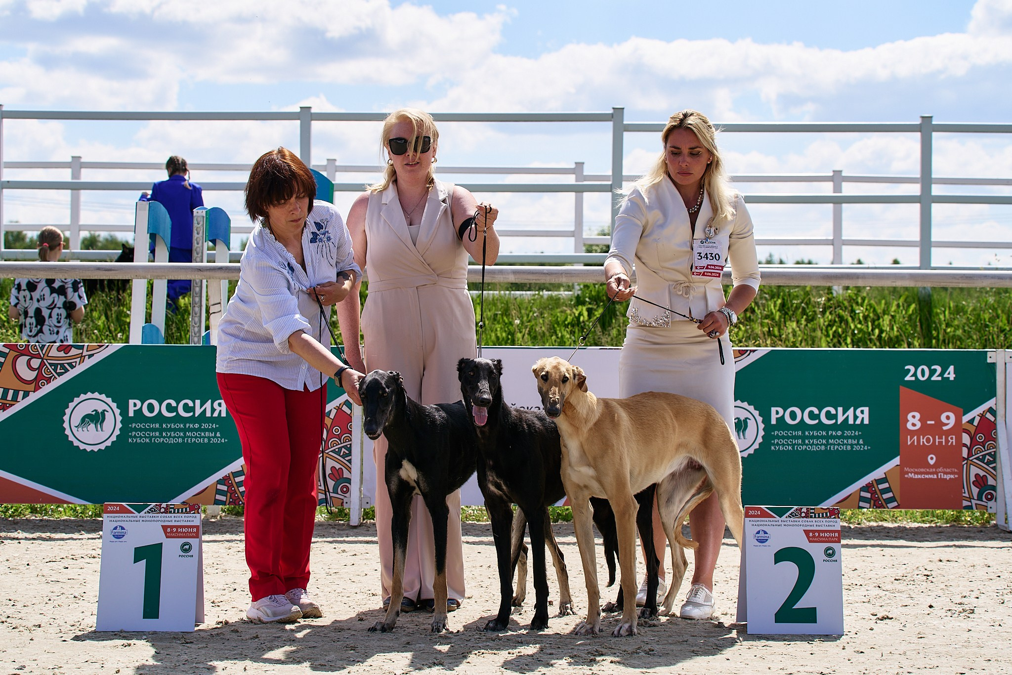 09.06.2024, «РОССИЯ. КУБОК МОСКВЫ 2024 & КУБОК ГОРОДОВ-ГЕРОЕВ»
