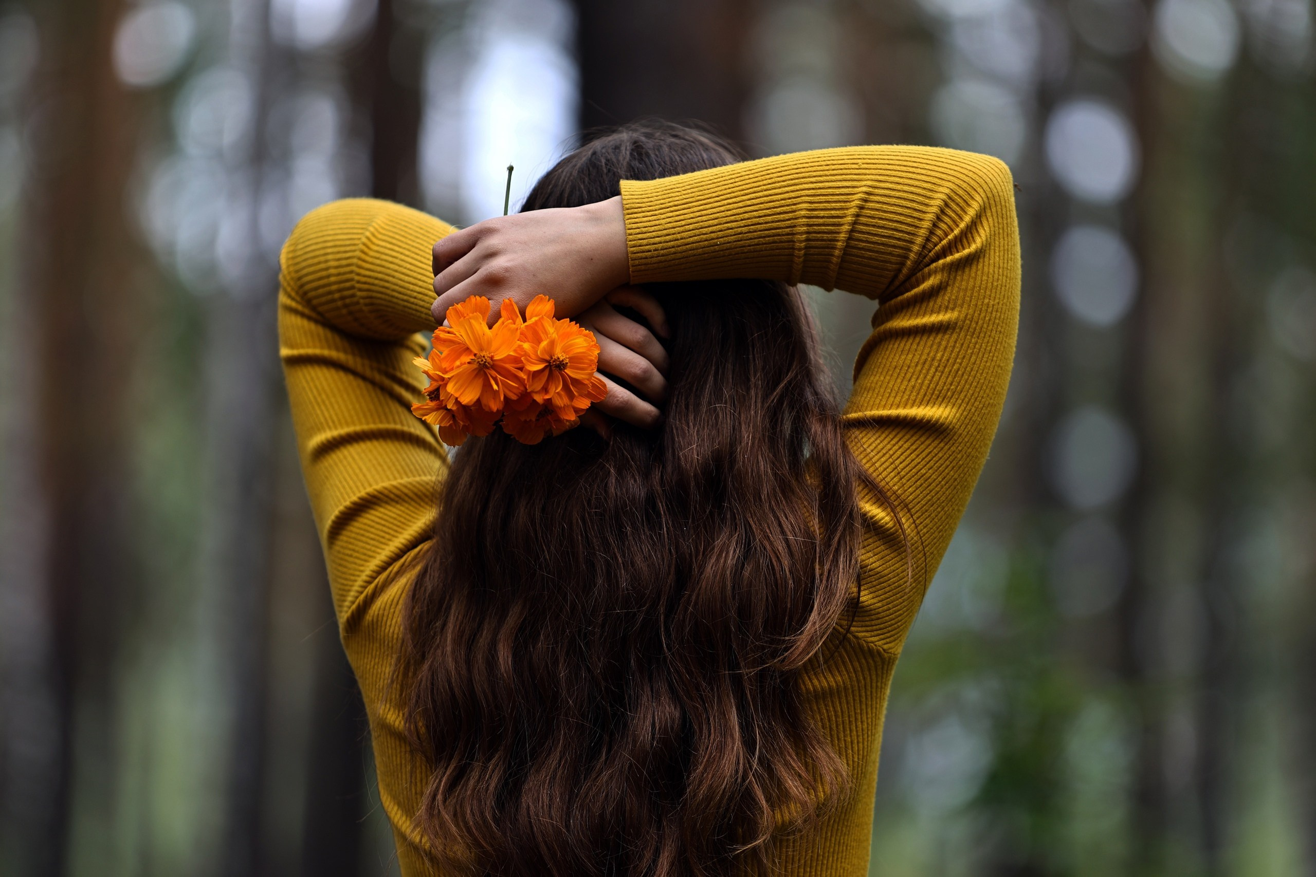 Осень в природе — это волшебство!. Фотограф | Видеограф в Кургане, Тюмени и Челябинске