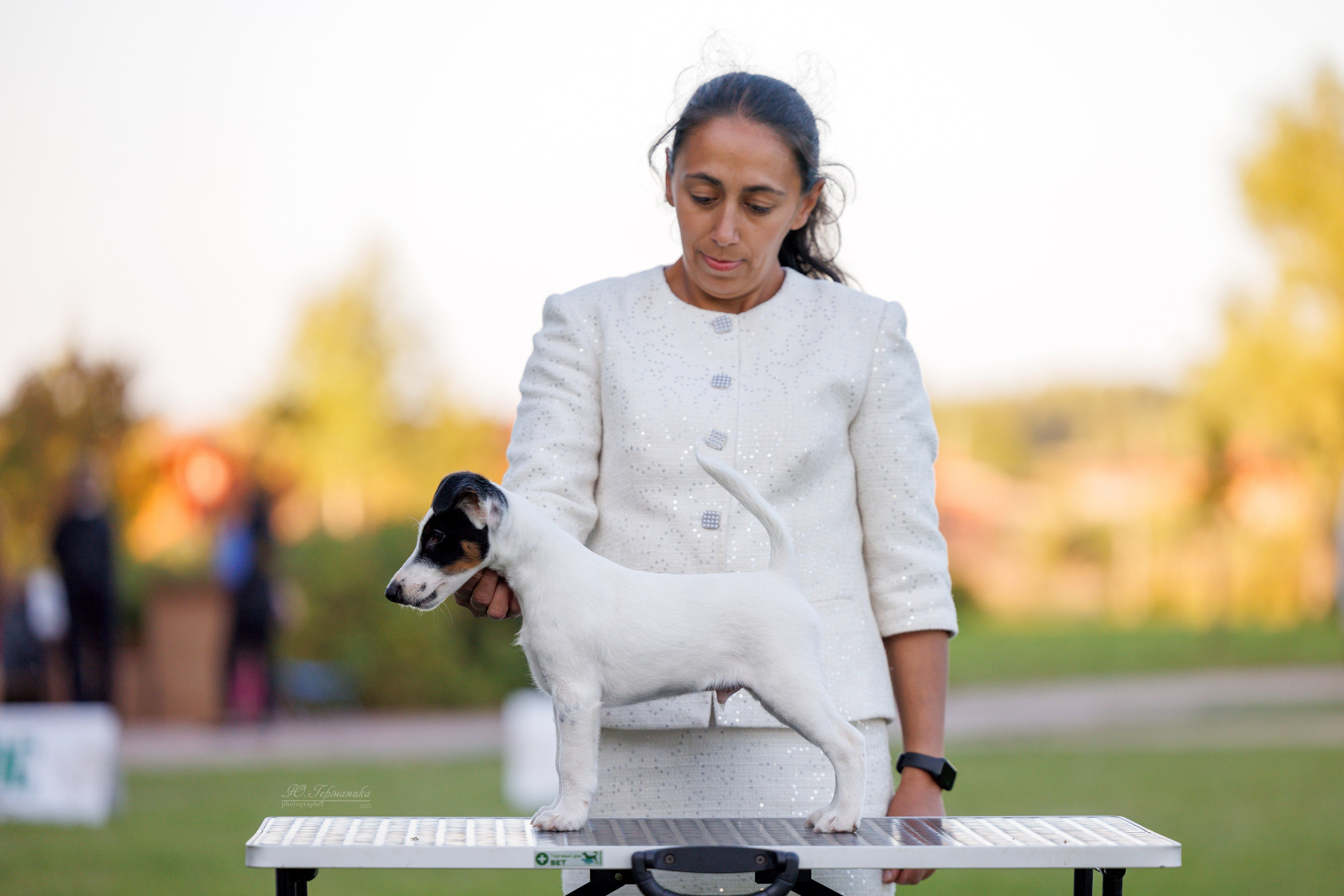 Переславль 5-7.08.2025. Фотограф-анималист Юлия Германика