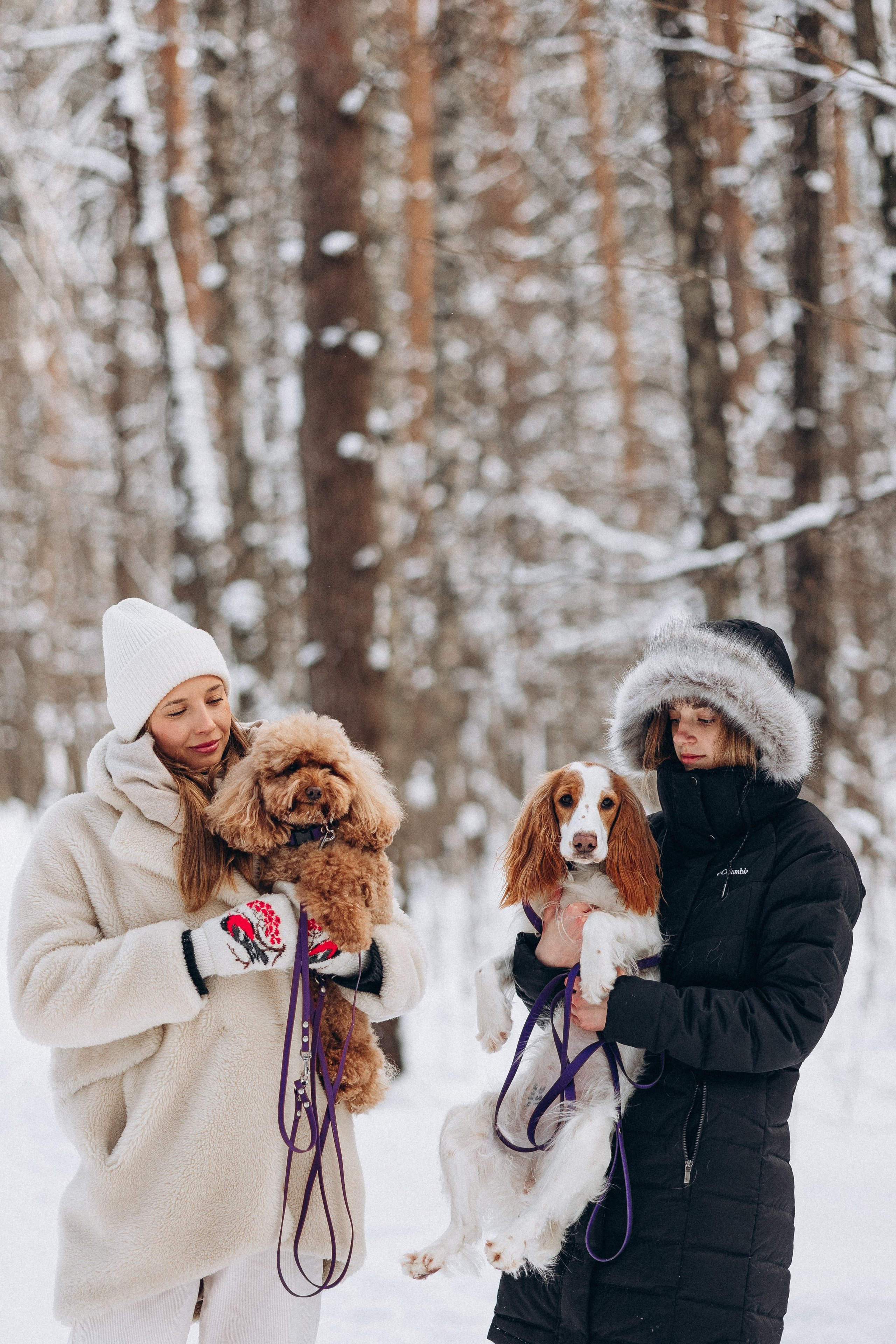 Амуниция «Бобик» 2. Фотораф — анималист Мария Шистка