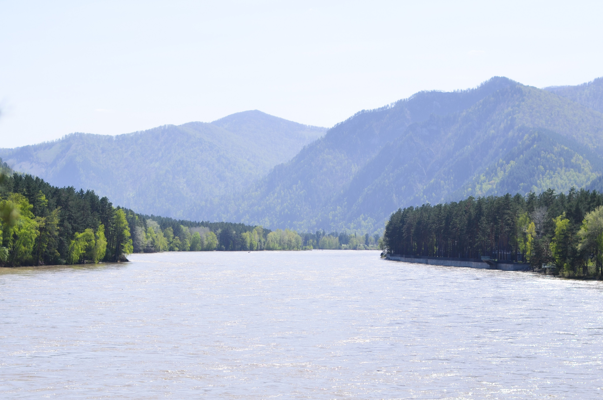 Фестиваль «Цветение Маральника на Алтае 2025». Фоторепортаж. Денисова Аля — фотограф для парных съемок и индивидуальных историй в Барнауле