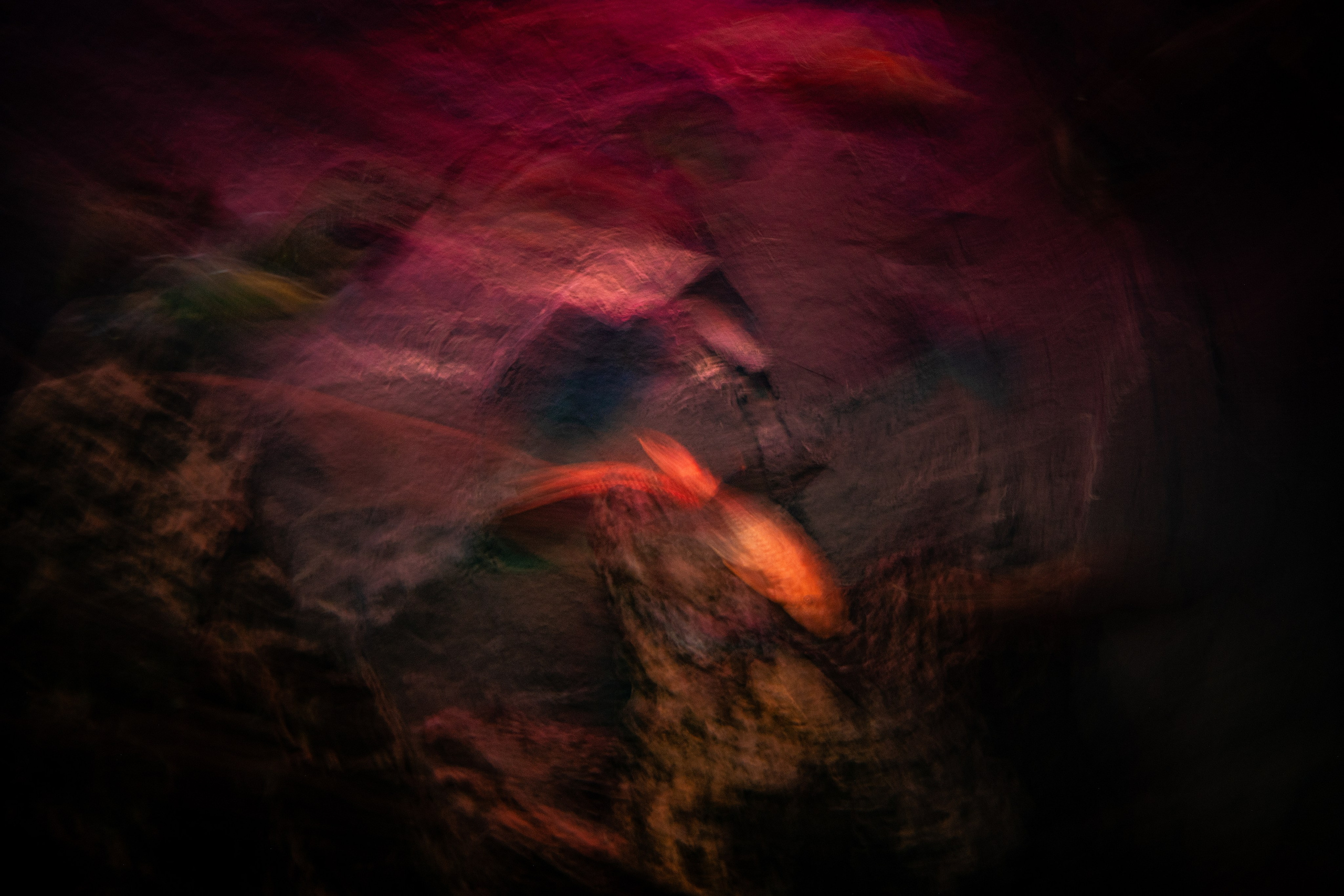 Рыбопись 2024. Яна Каменская