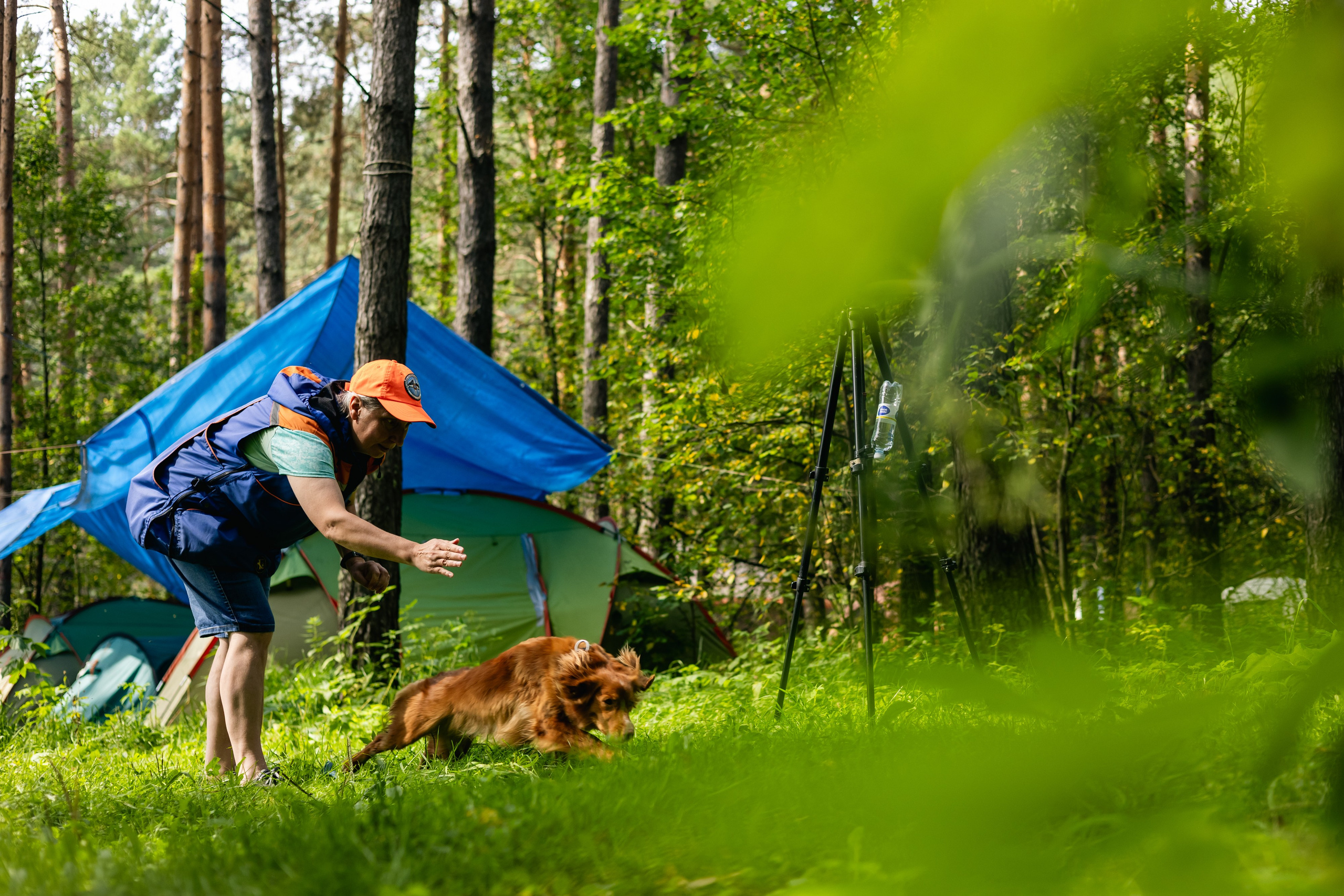 VI ОТКРЫТЫЕ КИНОЛОГИЧЕСКИЕ СОРЕВНОВАНИЯ. ЧЕЛЯБИНСКАЯ ОБЛАСТЬ 2025. Репортажный фотограф Наталья Лапцевич