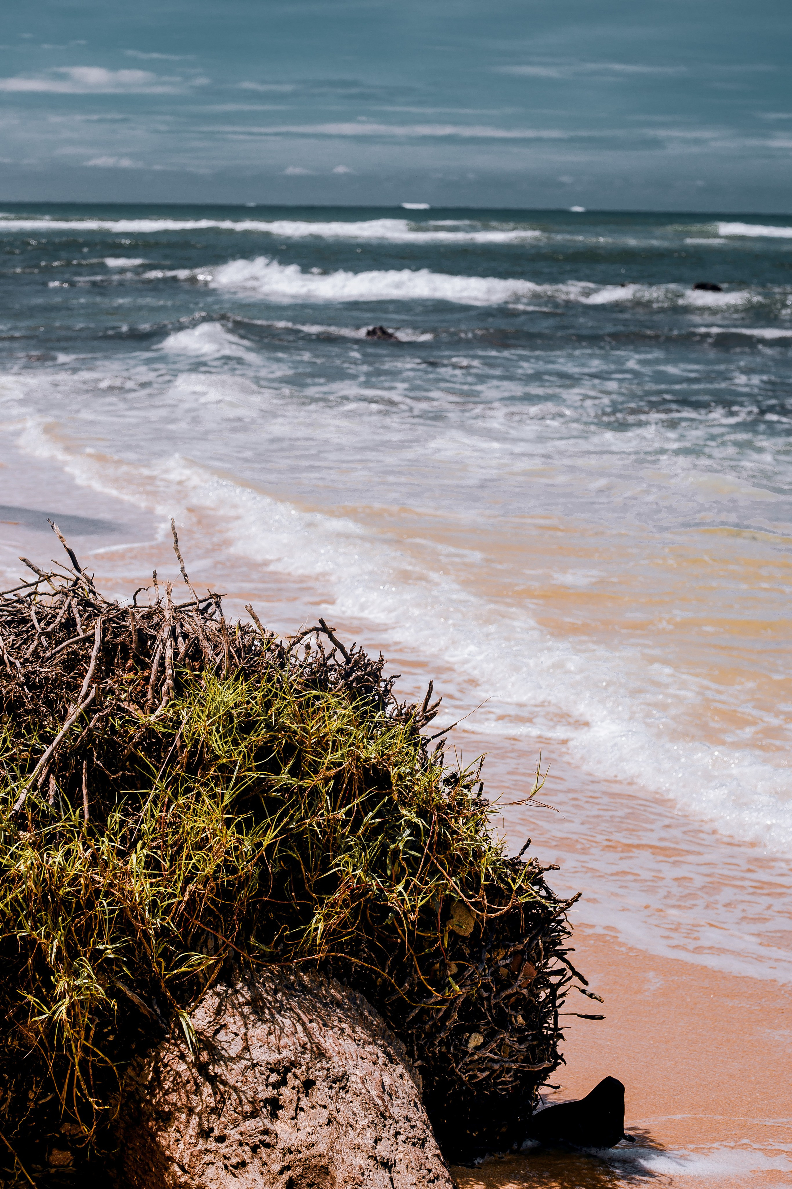 Sri Lanka. Art Photographer